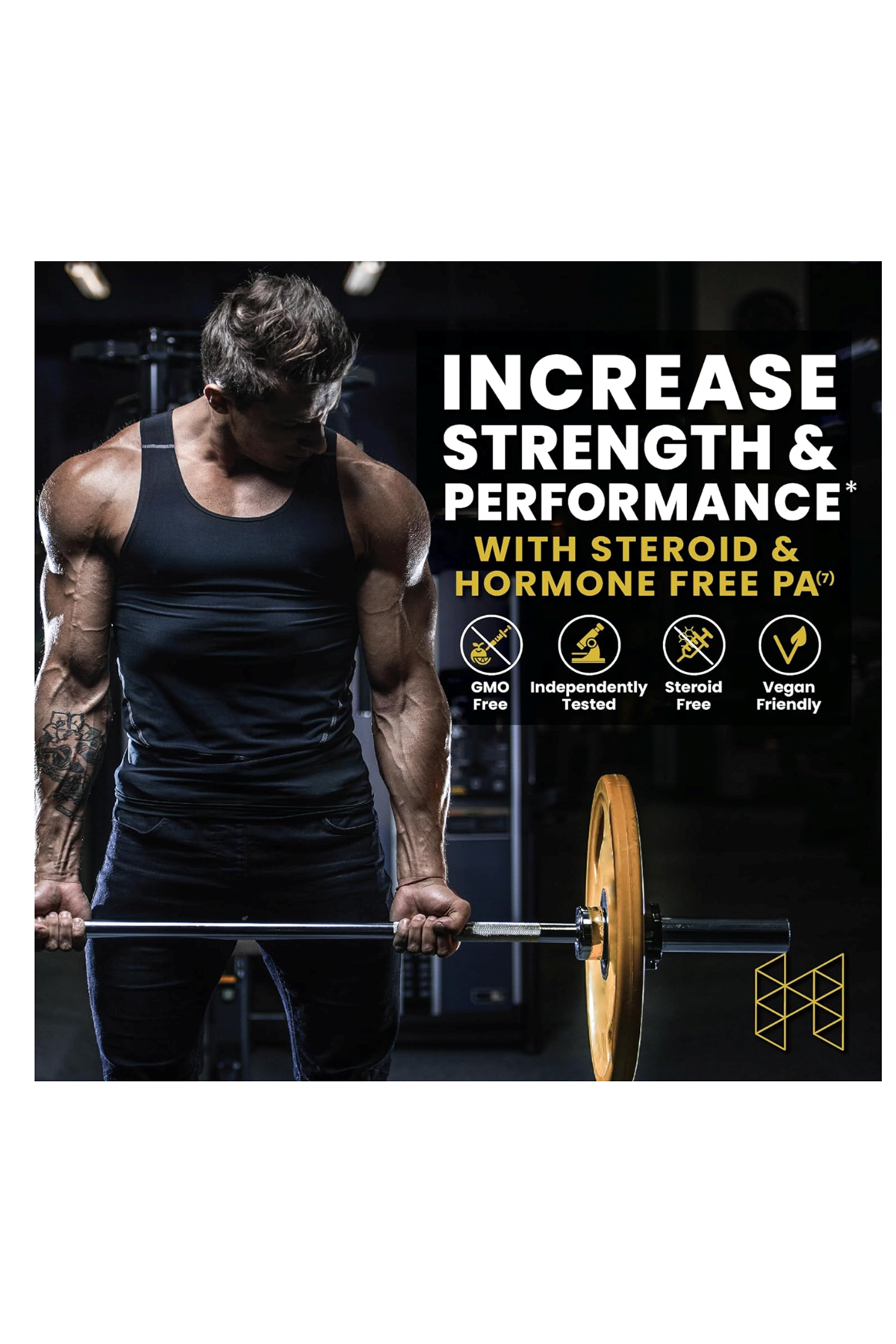HPN PA-7  Phosphatidic Acid 96 Tablet Muscle Builder - Boost mTOR. Usa Version 82.