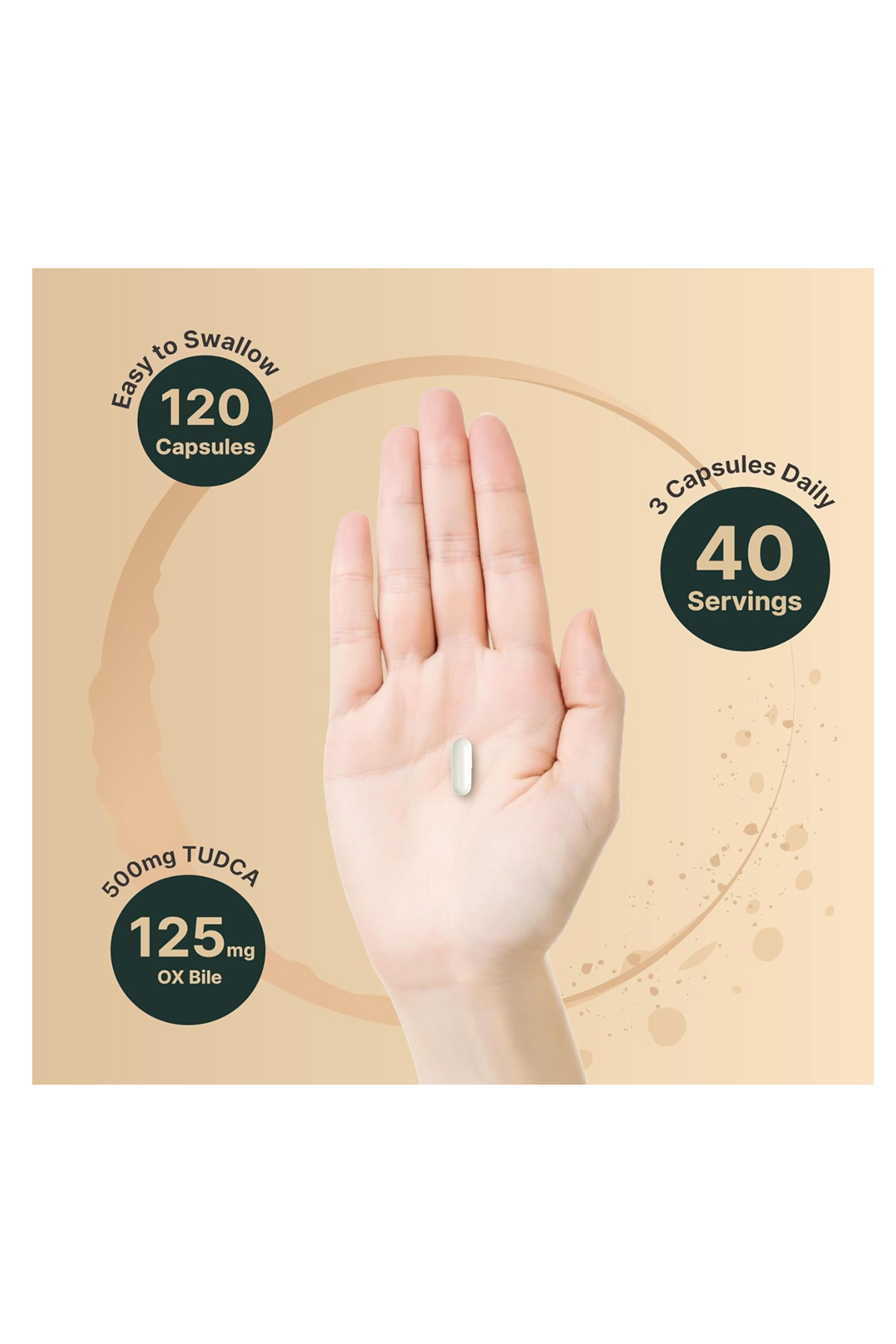 NatureBell TUDCA 500mg  with OX Bile 125mg  120 Capsul.47.