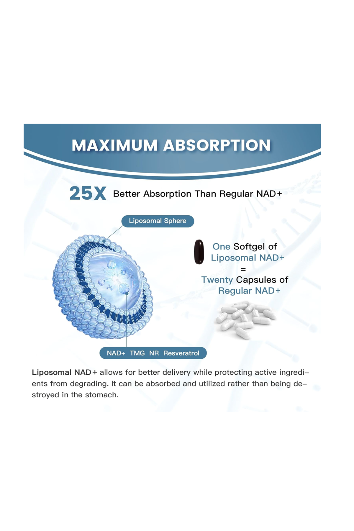 inGreens Liposomal NAD+1800mg  Resveratrol+TMG 60 Softgel.Usa Menşei.51.