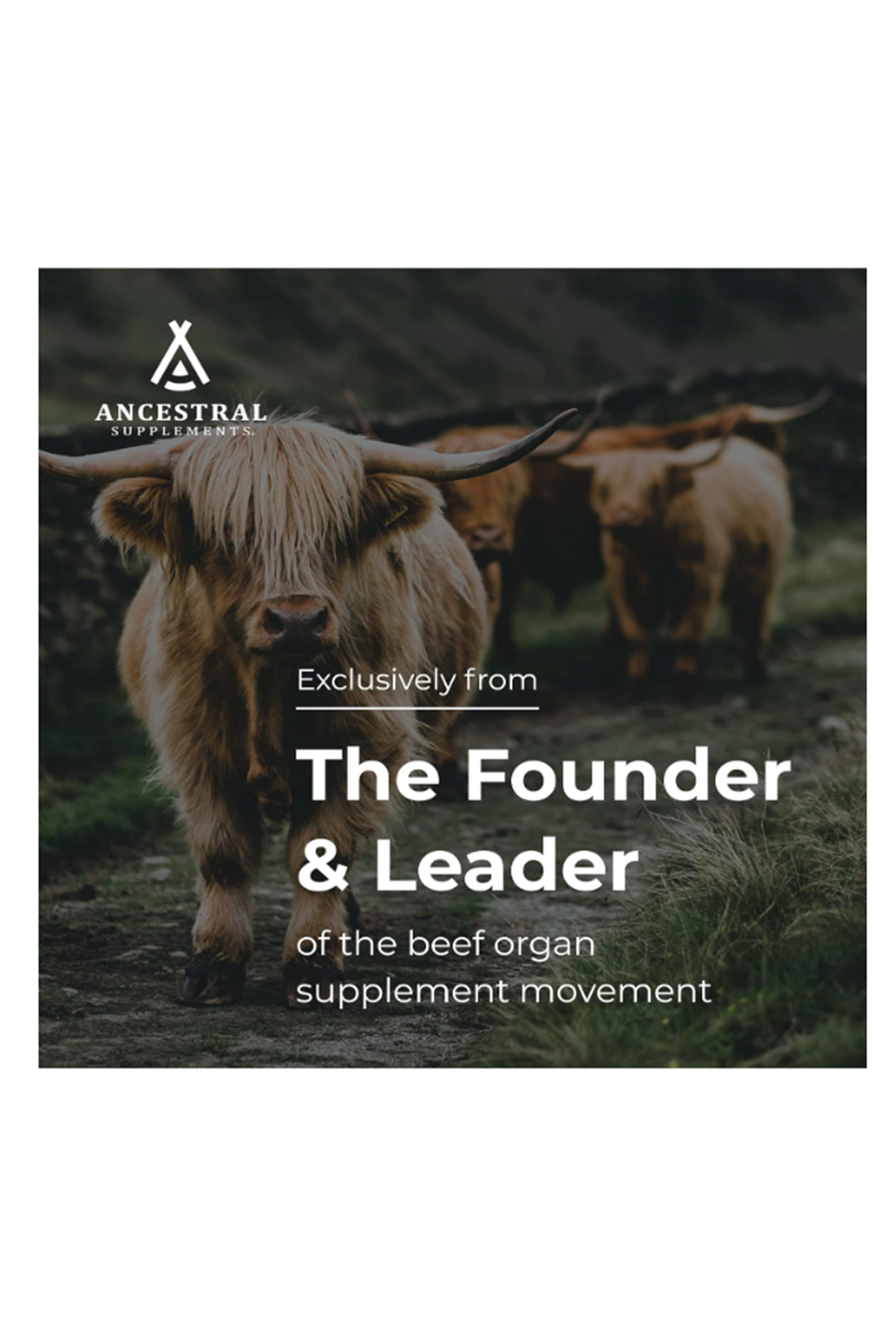 Ancestral Supplements Grass Fed Beef Colostrum  3000mg  180 Capsules.Abd Menşei.72.