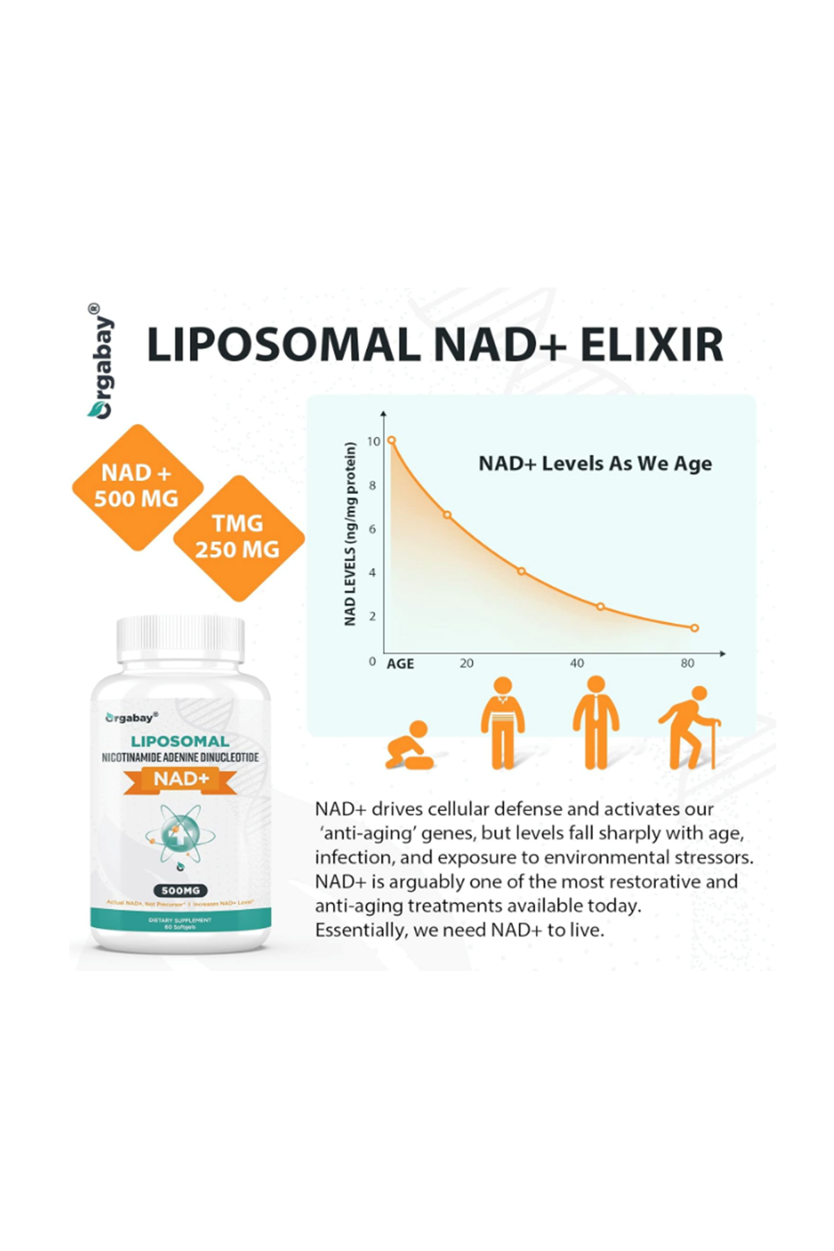 Orgabay Lıposomal N.A.D+ 500mg, High Absorption,TMG 250mg,Than Nicotinamide Riboside,60 Softgels.47.
