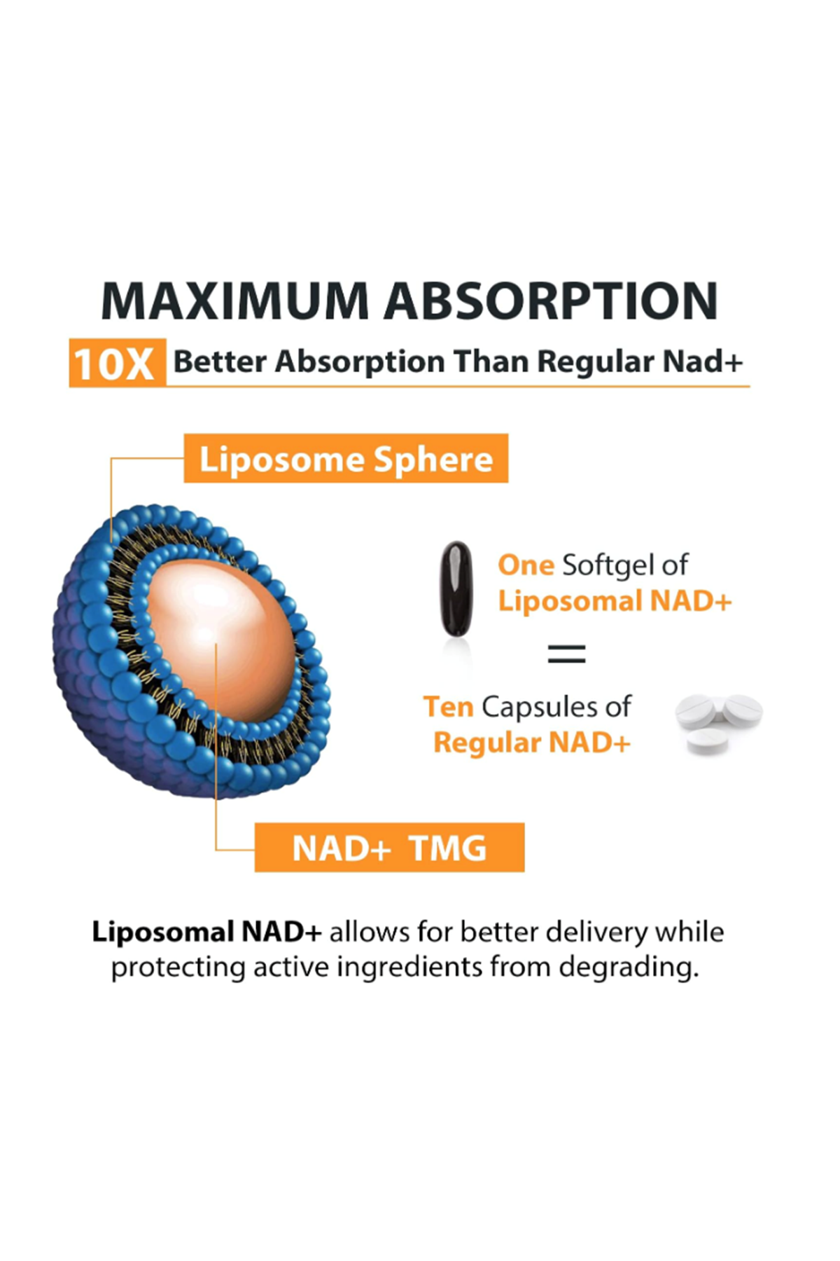 Orgabay Lıposomal N.A.D+ 500mg, High Absorption,TMG 250mg,Than Nicotinamide Riboside,60 Softgels.47.