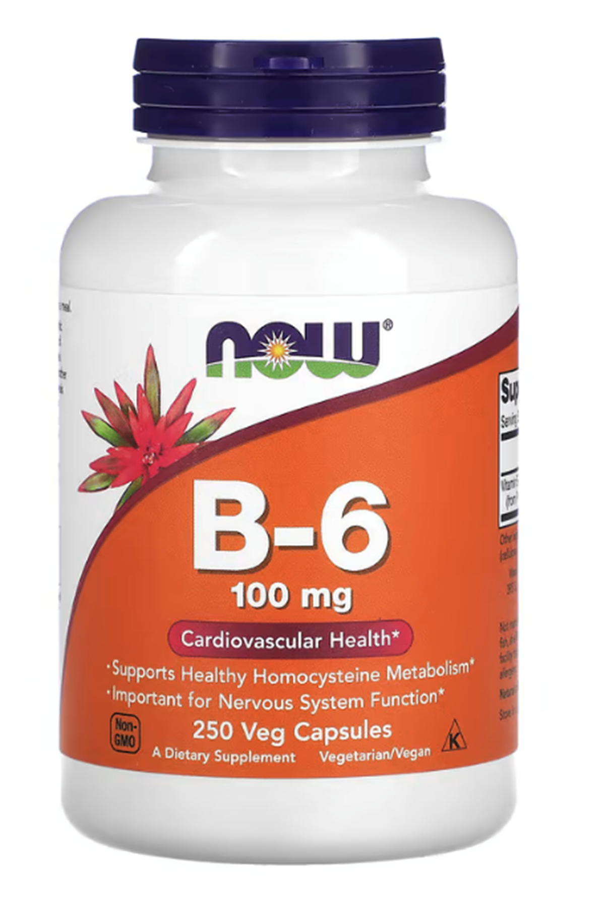 NOW Foods, B-6,  100 mg, 250 Veg Capsul.Usa Menşei.35.