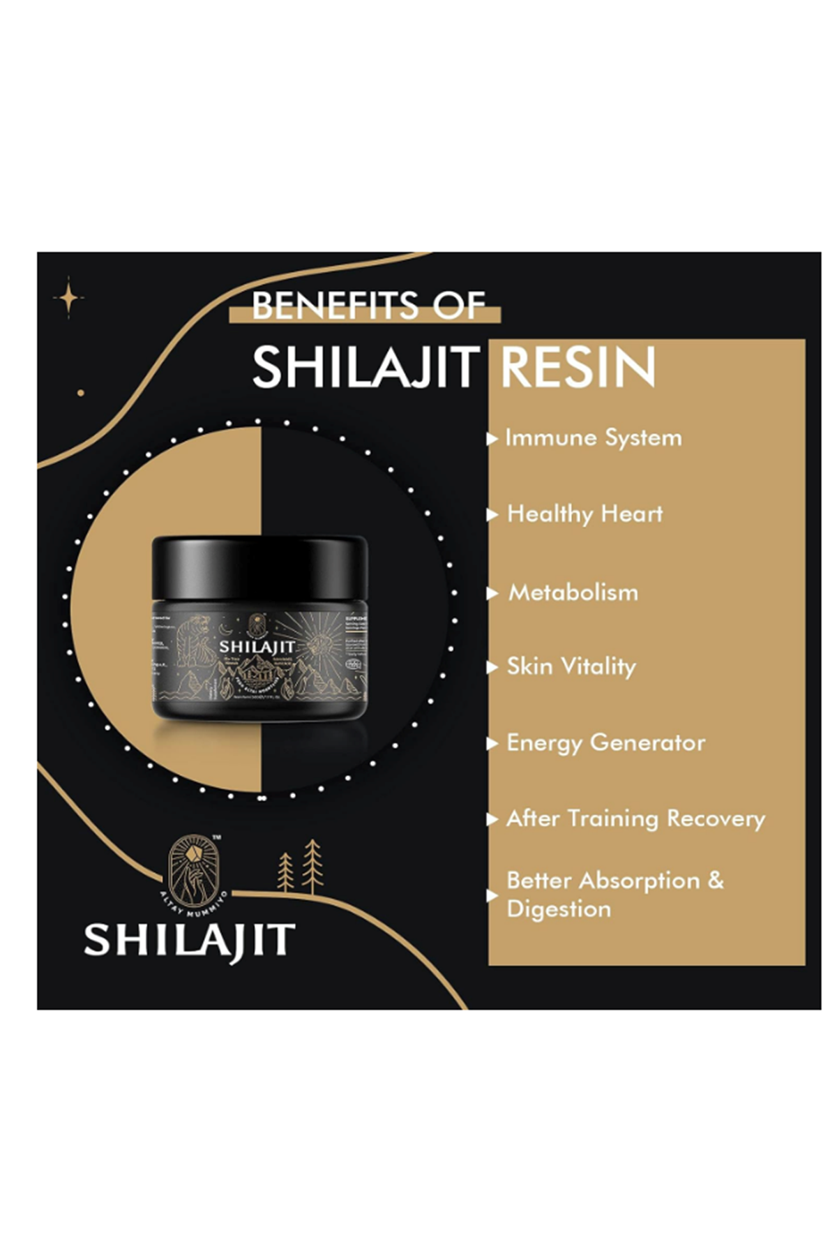 ALTAY MUMMIYO Shilajit Resin Fulvic Humic Acid 50gr 100 Servis.Abd Menşei.