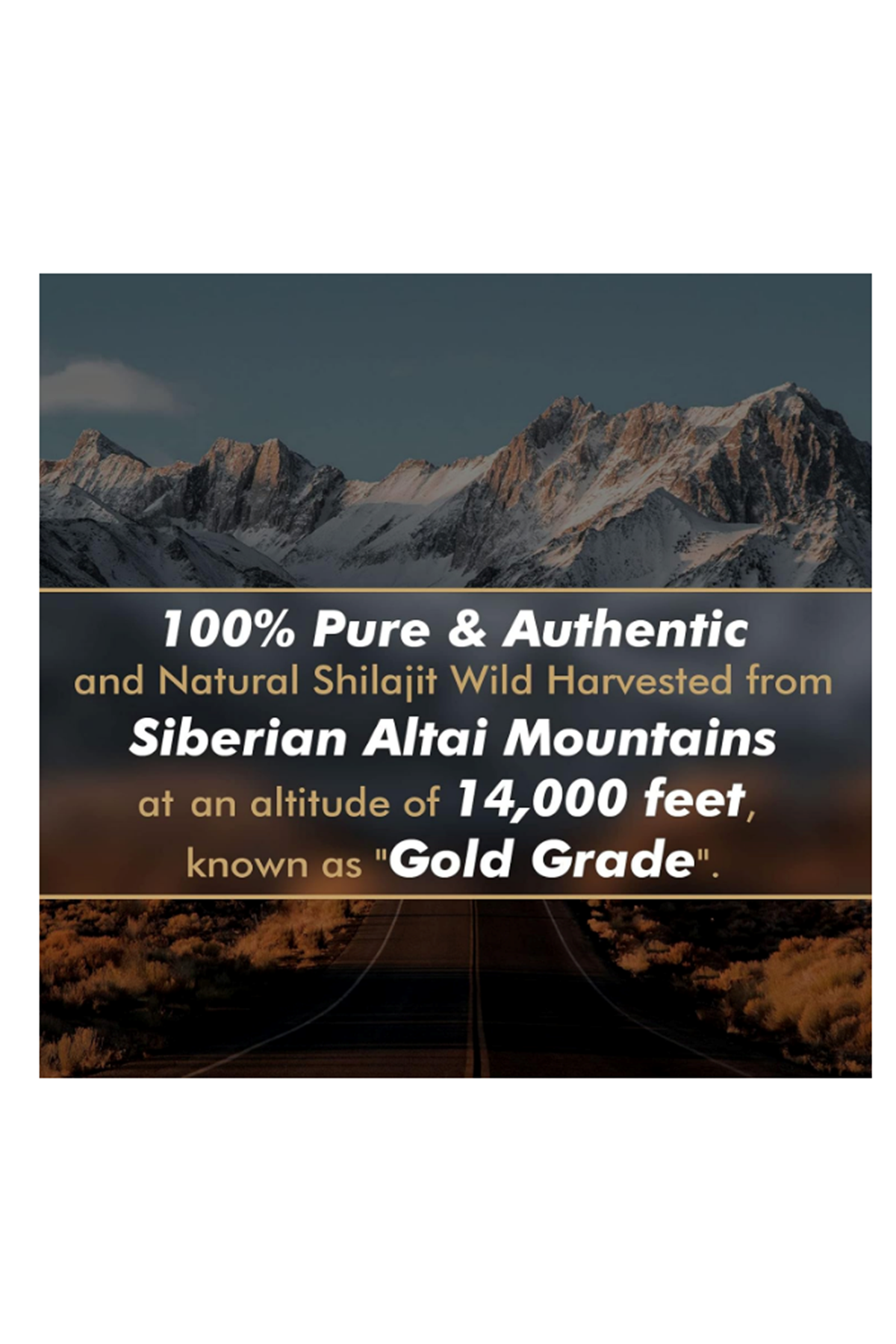 ALTAY MUMMIYO Shilajit Resin Fulvic Humic Acid 50gr 100 Servis.Abd Menşei.