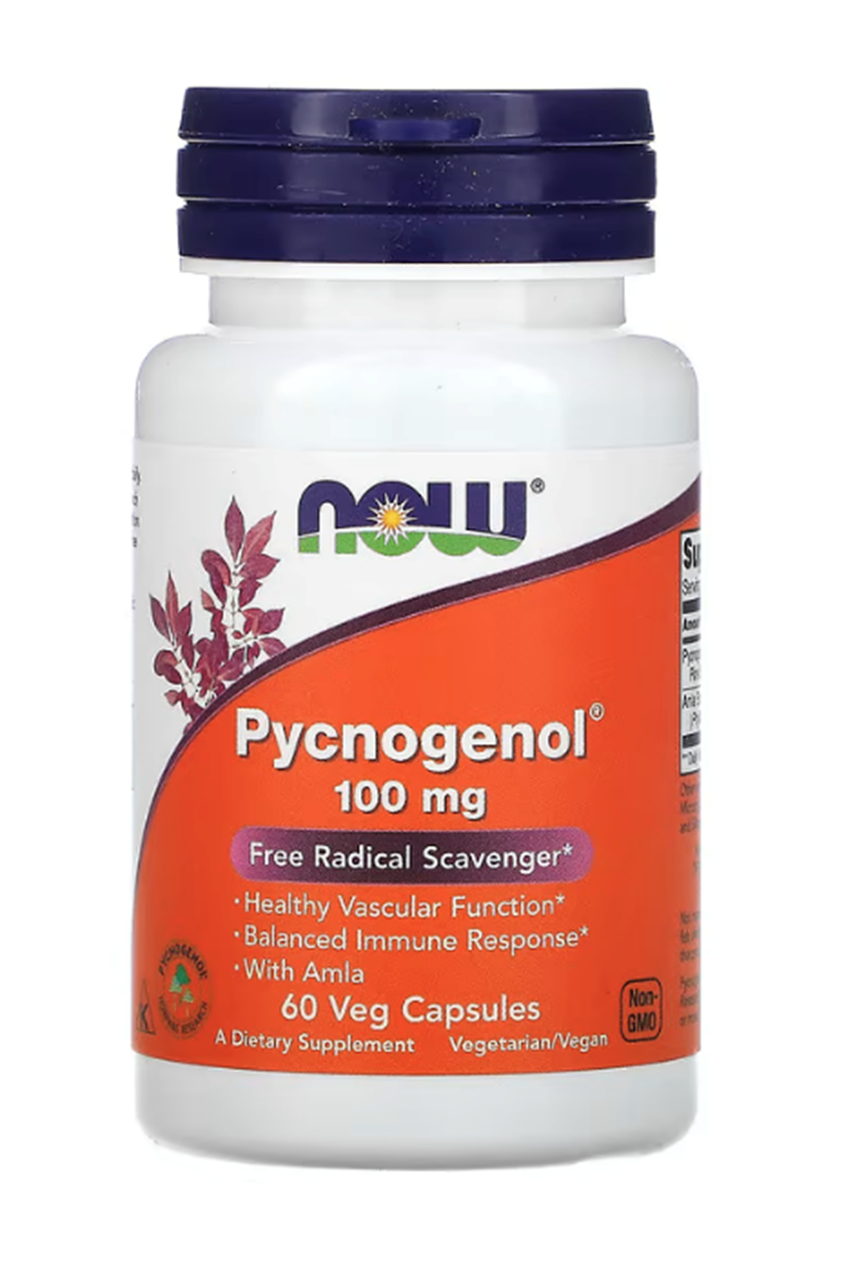 NOW Foods, Pycnogenol, 100 mg, 60 Veg Capsules.Abd Menşei.93.