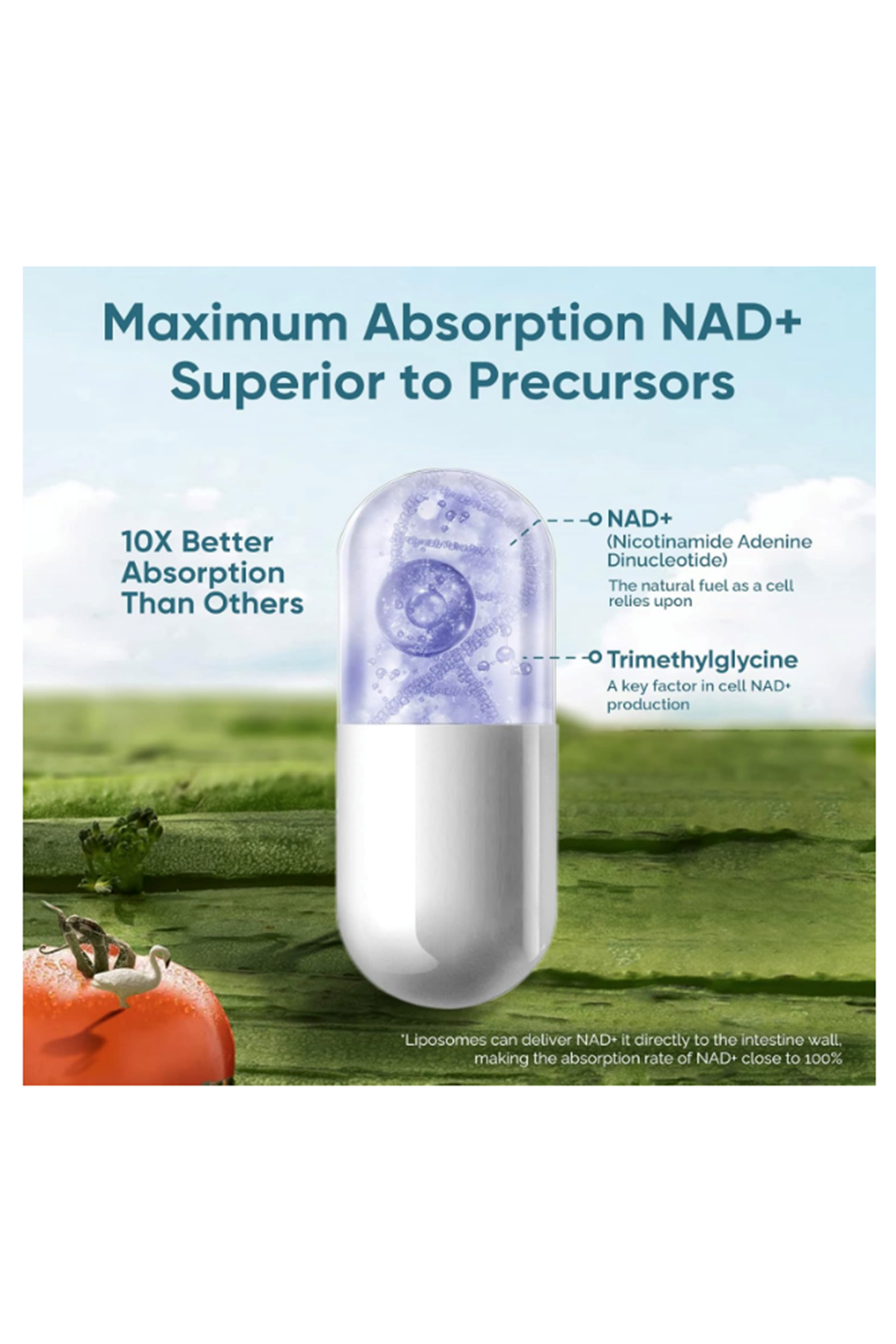 Solodate lab  Liposomal NAD -TMG ,NAD+  Anti-Aging,Energy,Focus 120 Capsul.Abd Menşei.62.