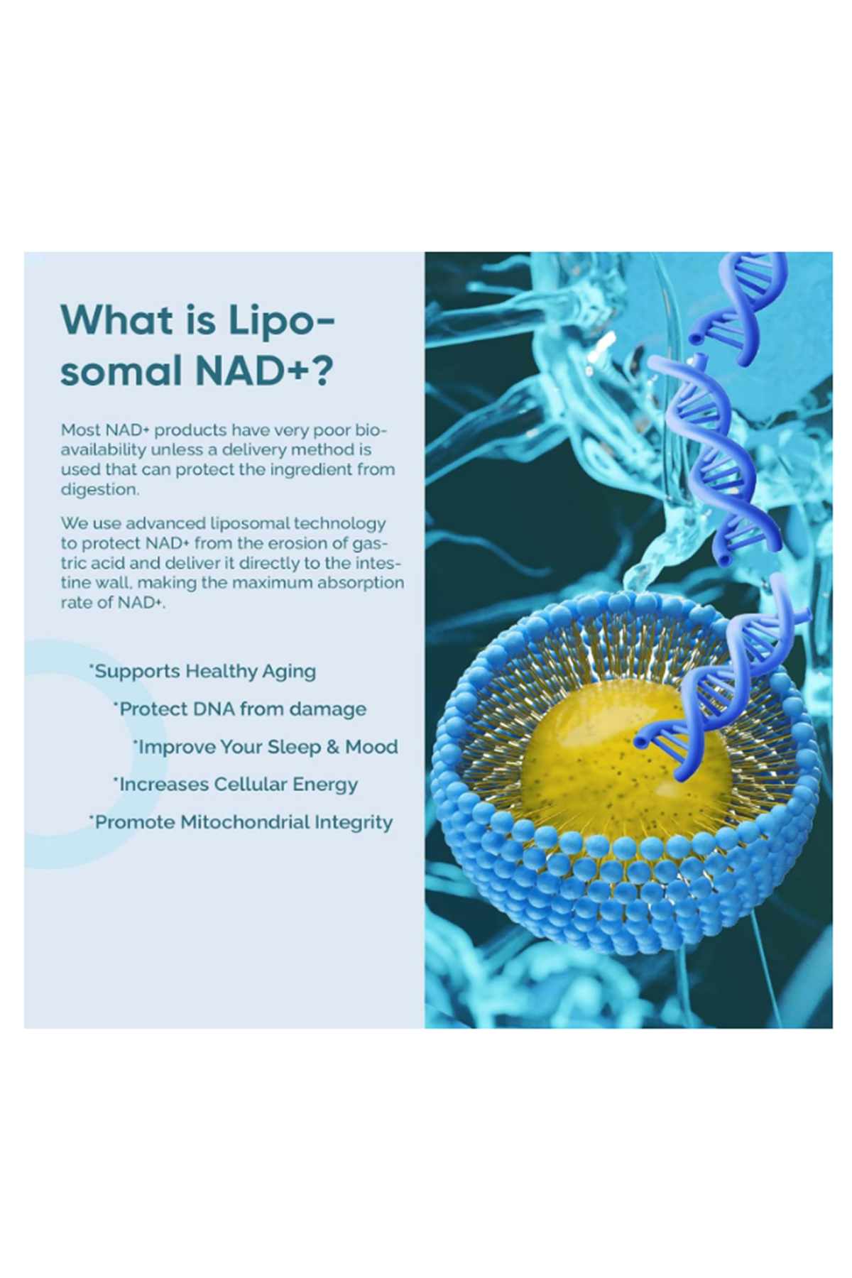 Solodate lab  Liposomal NAD -TMG ,NAD+  Anti-Aging,Energy,Focus 120 Capsul.Abd Menşei.62.