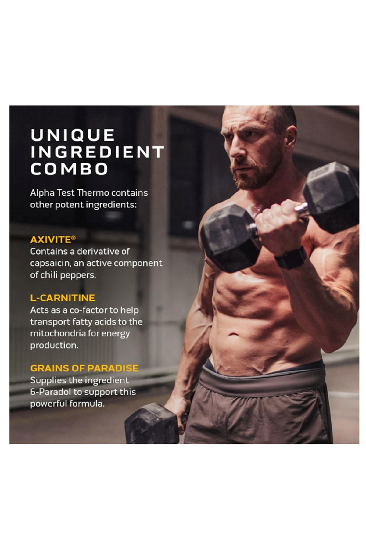 MuscleTech AlphaTest Thermo Test Booster- T-Boost Mens - Muscle Growth, Stamina  Energy  90 Capsul.Made ın Usa.57.