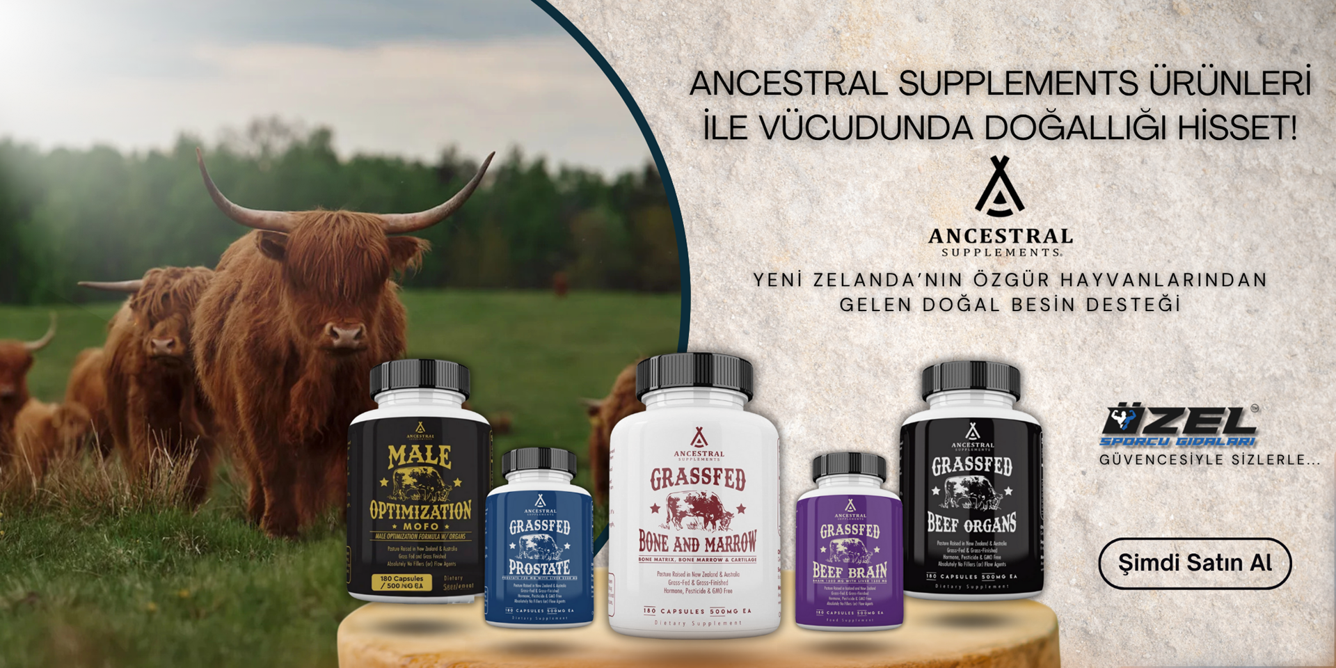 Ancestral Supplements Ürünleri