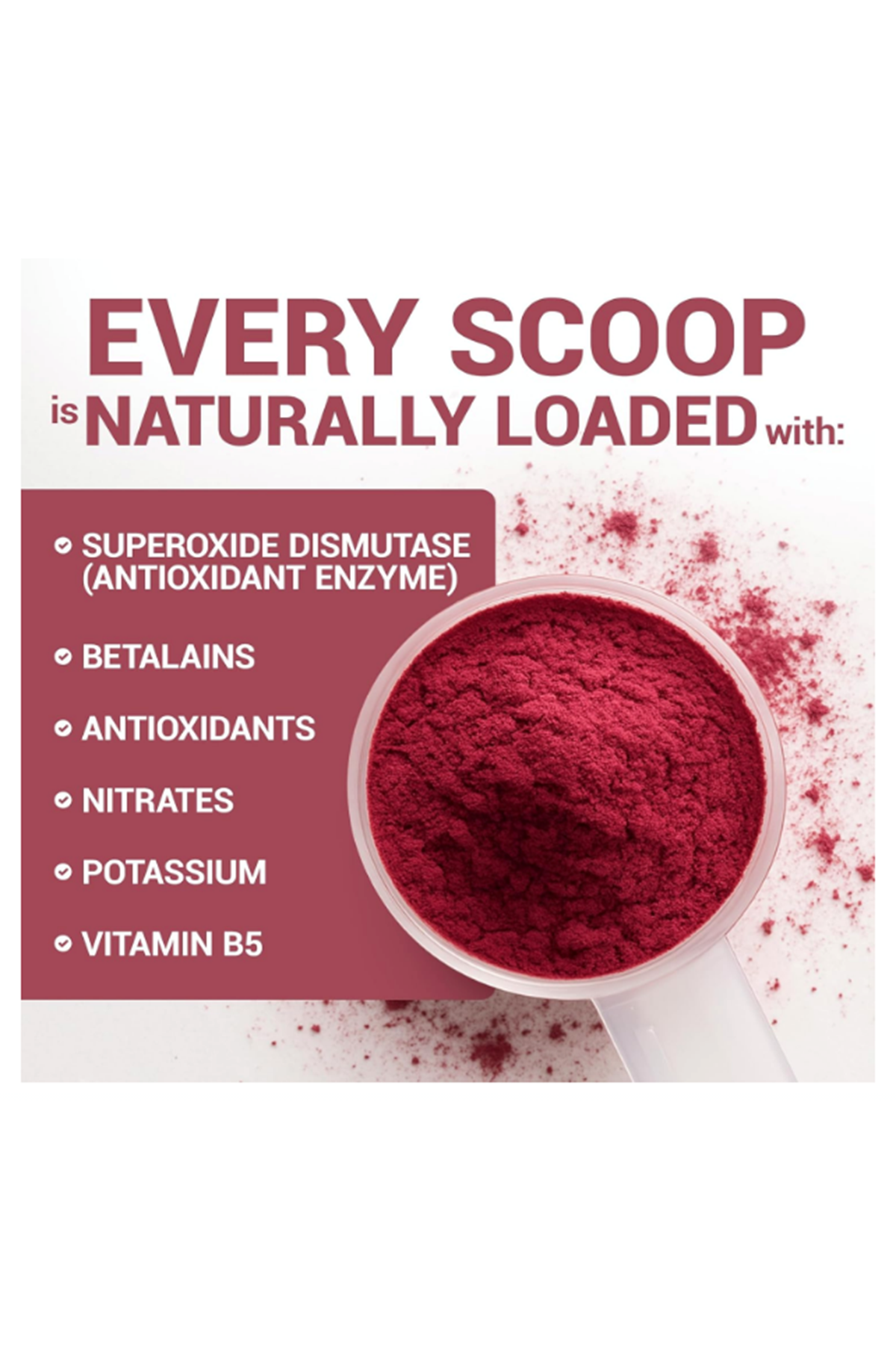 Dr. Berg Raw Organic Beet Powder–90gr 30 Servis USDA Certified Nitric Oxide, Energy, Blood Flow.