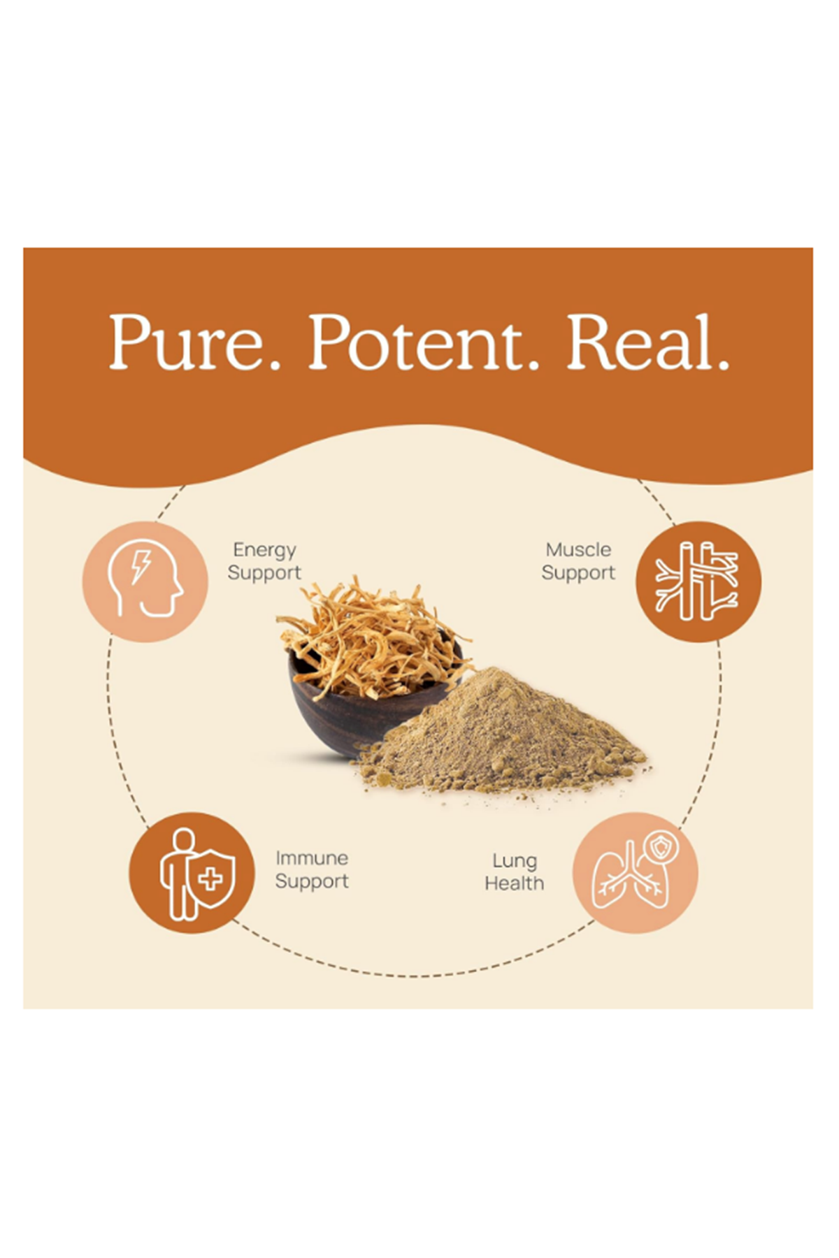 Real Mushrooms (Ösg Özel Sporcu Gıdaları) Cordyceps M Mushroom Beta Glucans 120 Capsul.ORJ ABD MENŞEİ.