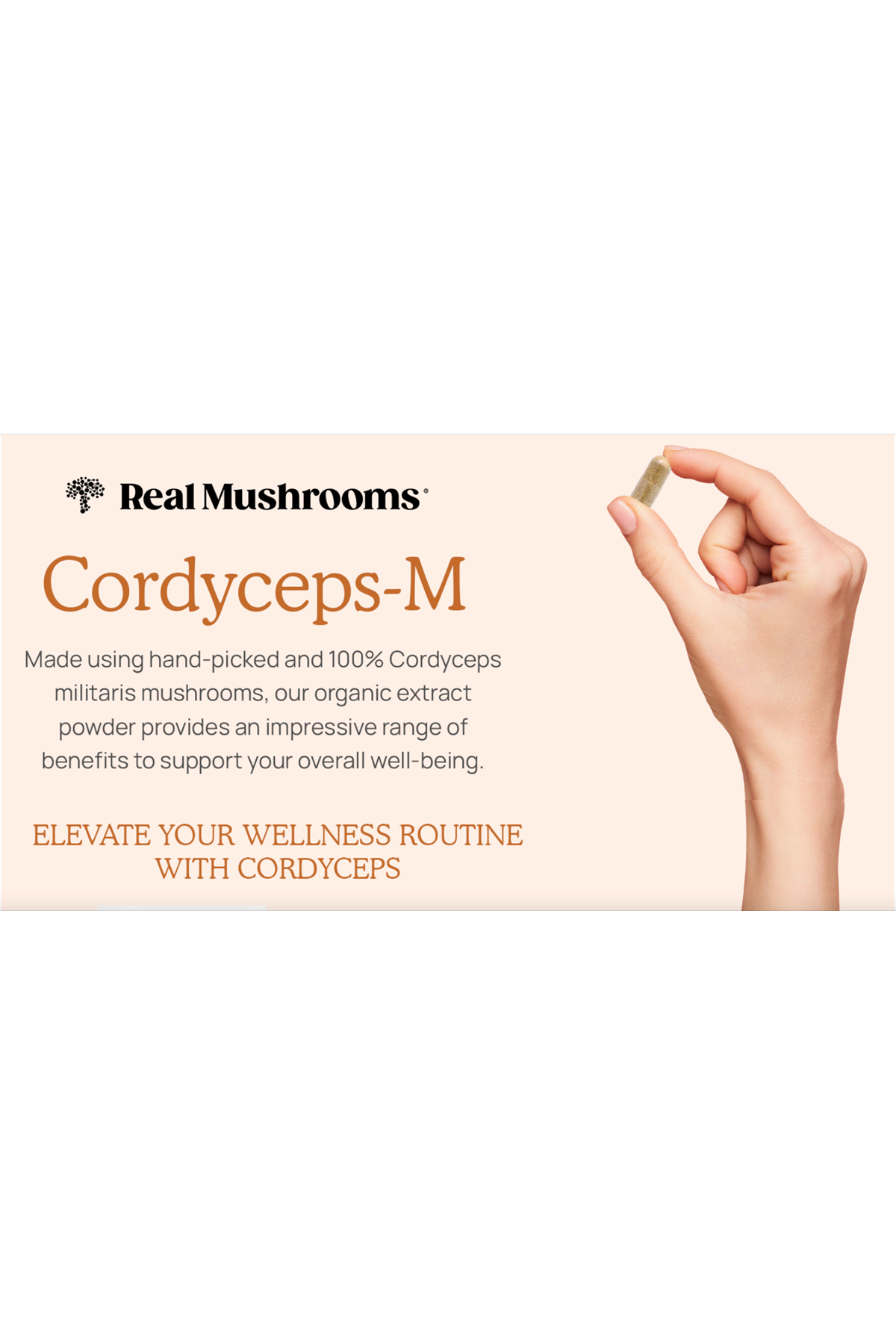 Real Mushrooms (Ösg Özel Sporcu Gıdaları) Cordyceps M Mushroom Beta Glucans 120 Capsul.ORJ ABD MENŞEİ.