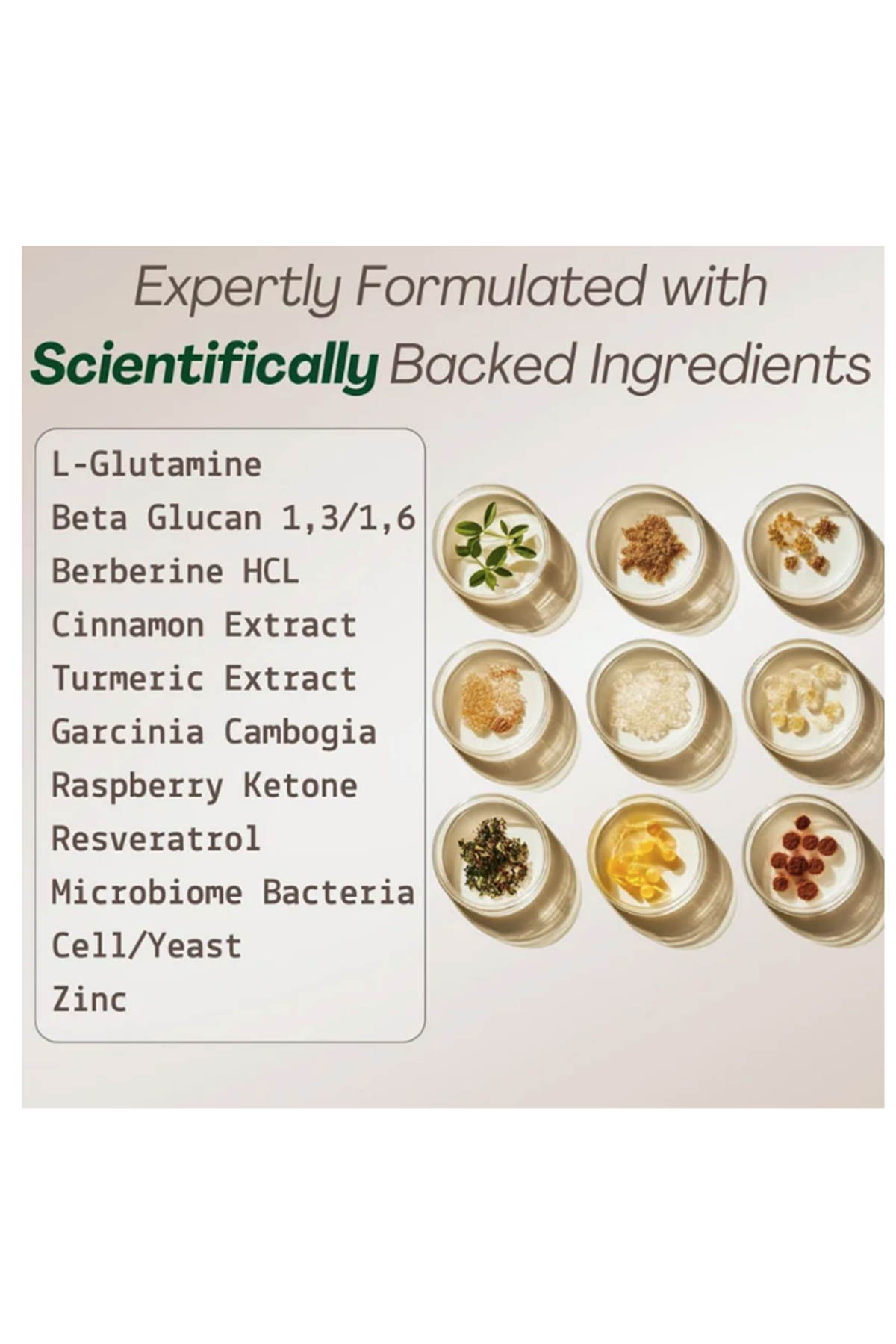Plus+Ultra GLP-1  Hunger  Metabolism Support  Expert Formulated to Support GLP1  Probiotic and Prebiotic (60 Capsules) Best Seller.