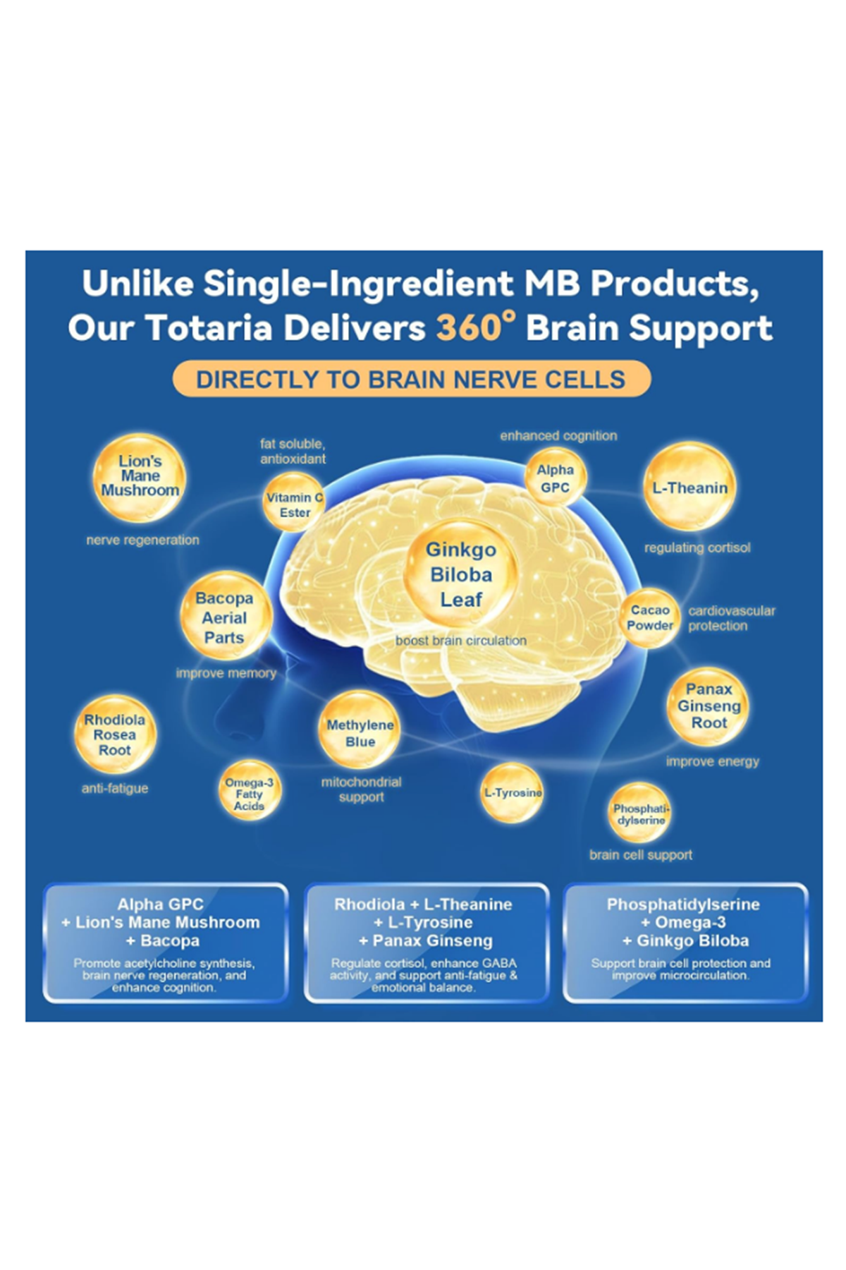 Totaria Healt Methylene 120 Capsul 13 in 1 Upgrade Patented Brain Formula with Vitamin C Ester, Bacopa, Phosphatidylserine, Omega-3 Fatty Acids - Memory, Focus, Clarity, Cognitive.