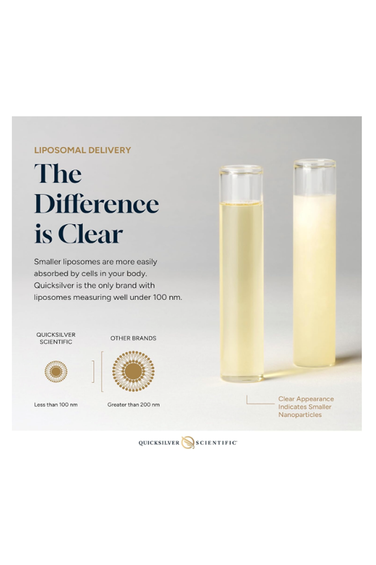 Quicksilver Scientific Nanoemulsified - Emulsified 50ML Vitamin D3 + K2 MK7 Liposomal for Heart, Bone Health + Immune Support - Bioactive 2500IU for Enhanced Absorption .