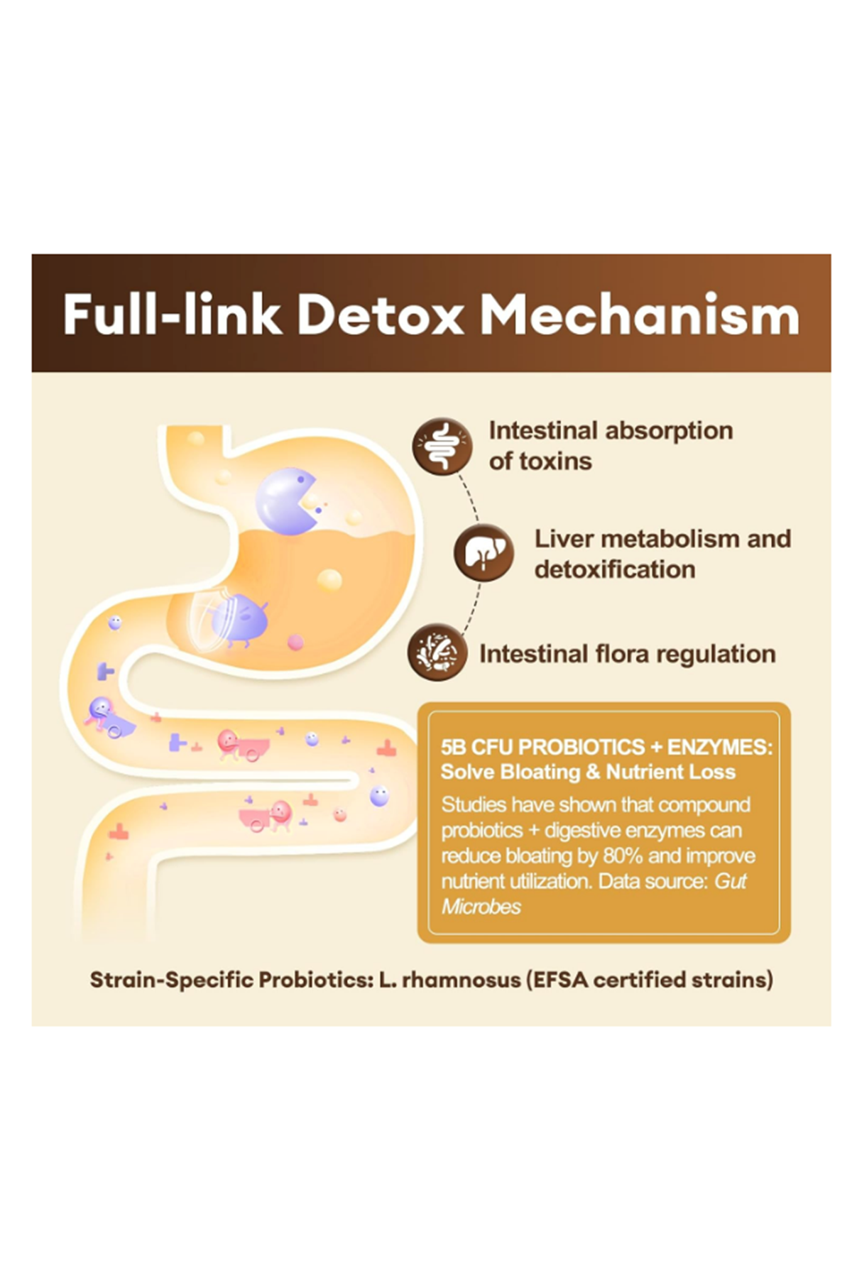 Totaria Complete Binder Detox  Activated Charcoal, Zeolite, Bentonite Clay, Alpha Lipoic Acid, 7-Layer Detox  Cleanse, Liver Gut 120 Capsul.