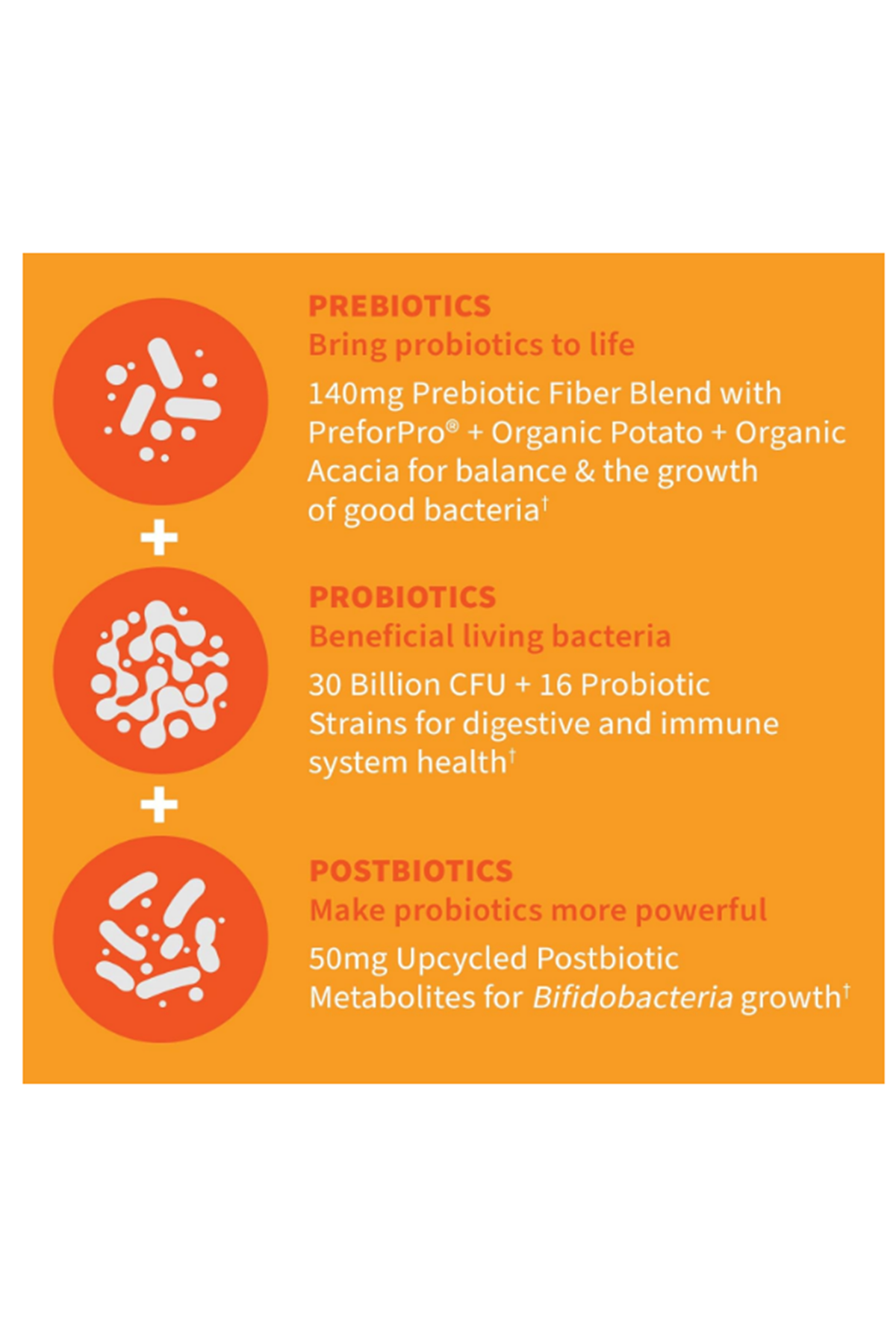 Garden of Life Dr Formulated 30 Capsul 3-in-1 Complete Probiotics, Prebiotics  Postbiotics - PRE + PRO + POSTBIOTIC for Adults’ Digestive  Immune Health, 30 Billion CFU.