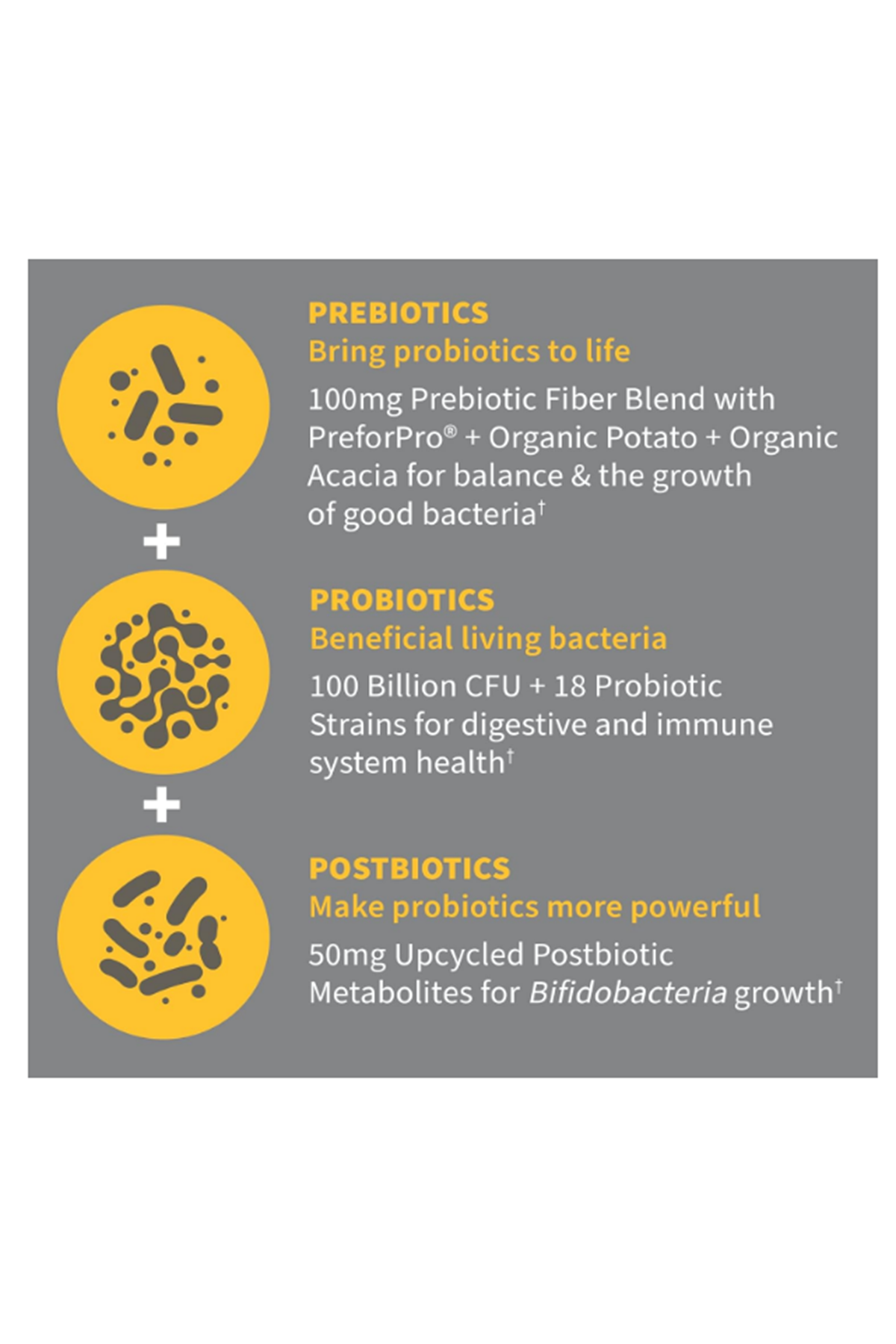 Garden of Life Dr Formulated 30 Capsul Once Daily 3-in-1 Complete Probiotics, Prebiotics  Postbiotics for Women and Men’s Digestive  Immune Health – Extra Strength, 100 Billion CFU.