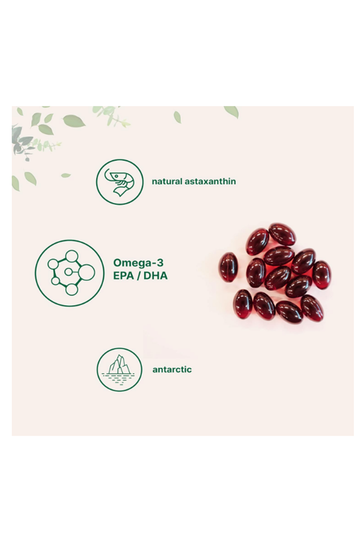 Micro Ingredients Antarctic Krill Oil  1000mg  300 Soft-Gels, Rich in Omega-3s EPA, DHA  Natural Astaxanthin, Immune System  Brain Health, Easy to Swallow.