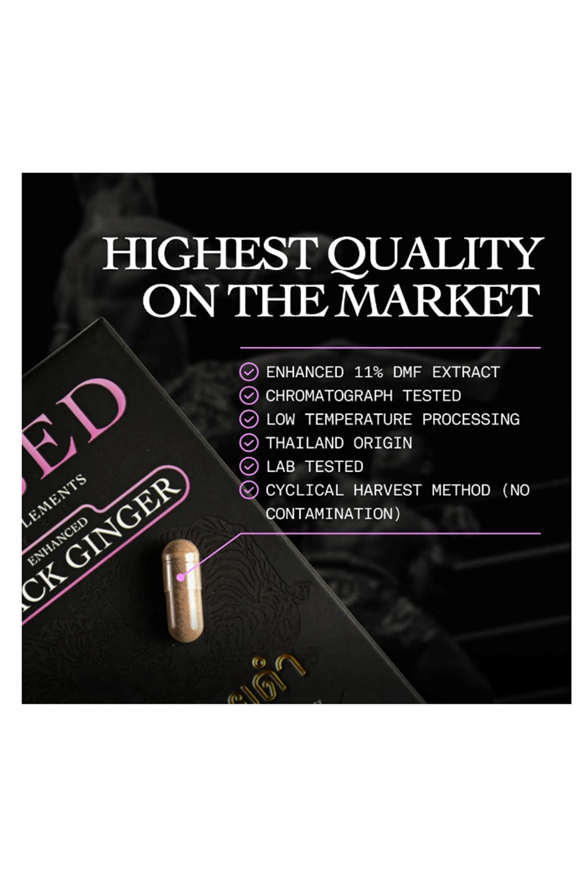 Based Supplements Black Ginger  (300mg, 30 Capsules) -Premium Thai Root Extract with 16% Methoxyflavones  11% DMF - Traditional Asian Herb for Energy. 