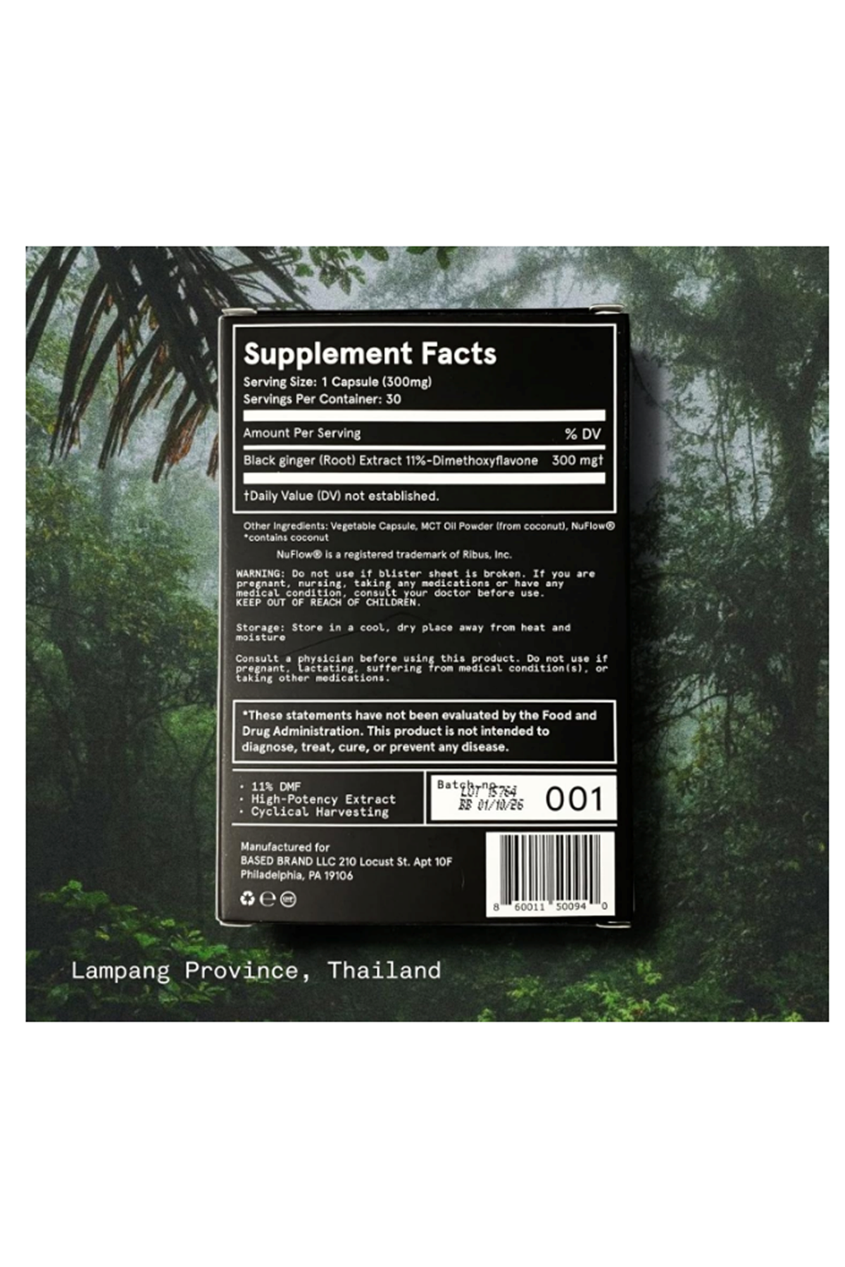 Based Supplements ((SKT:10.2026)) Black Ginger  (300mg, 30 Capsules) -Premium Thai Root Extract with 16% Methoxyflavones  11% DMF - Traditional Asian Herb for Energy. 