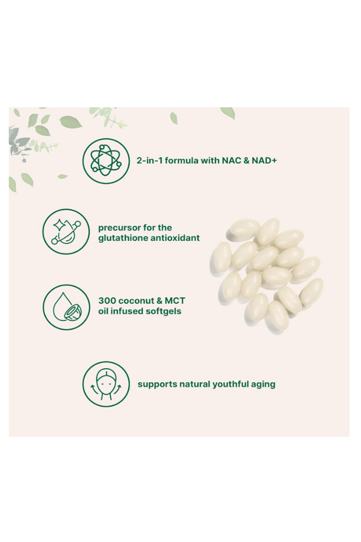 Micro Ingredients, N.A.C With NAD+, 300 Softgels.