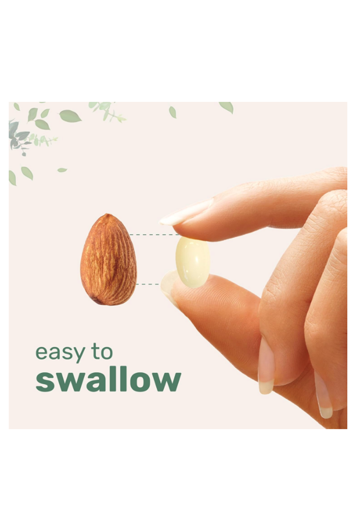 Micro Ingredients, N.A.C With NAD+, 300 Softgels.