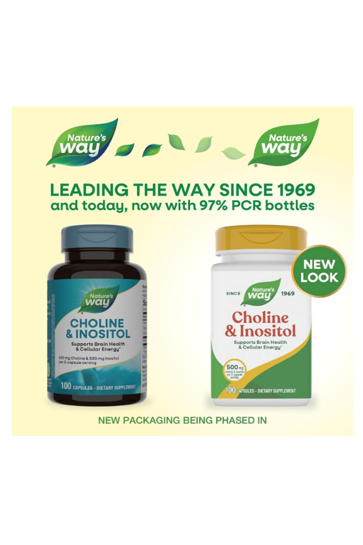 Nature's Way Choline & Inositol - 1000mg - Supports Brain Health  Cellular Energy - Choline Bitartrate - Gluten Free - 100 Capsul Usa Version 46.