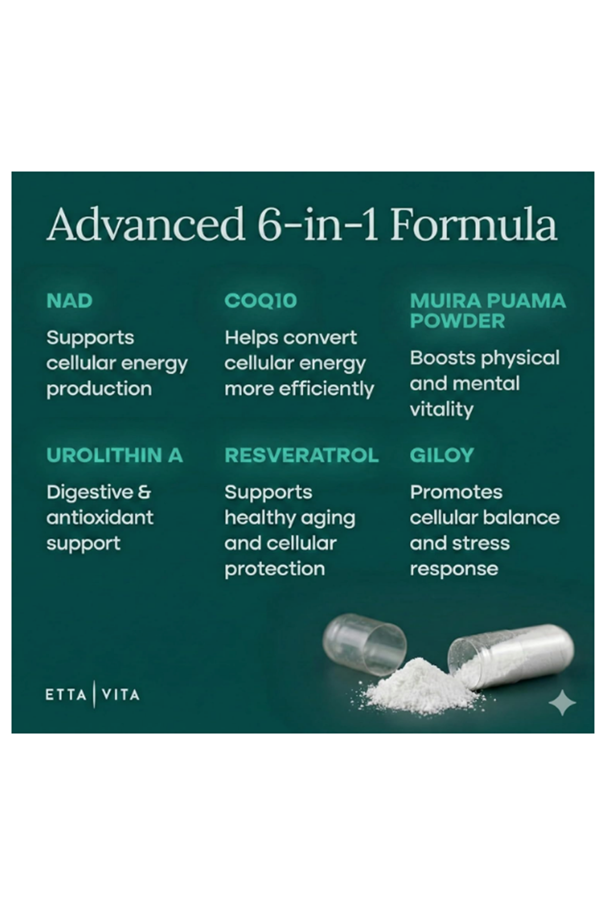 Etta Vita (Ösg Özel Sporcu Gıdaları) Liposomal NAD+ 60 Capsul Resveratrol, Urolithin A, CoQ10,Muira Puama Natural Energy, Brain Fog, Digestion, Detox, Gut Health NR NMN.