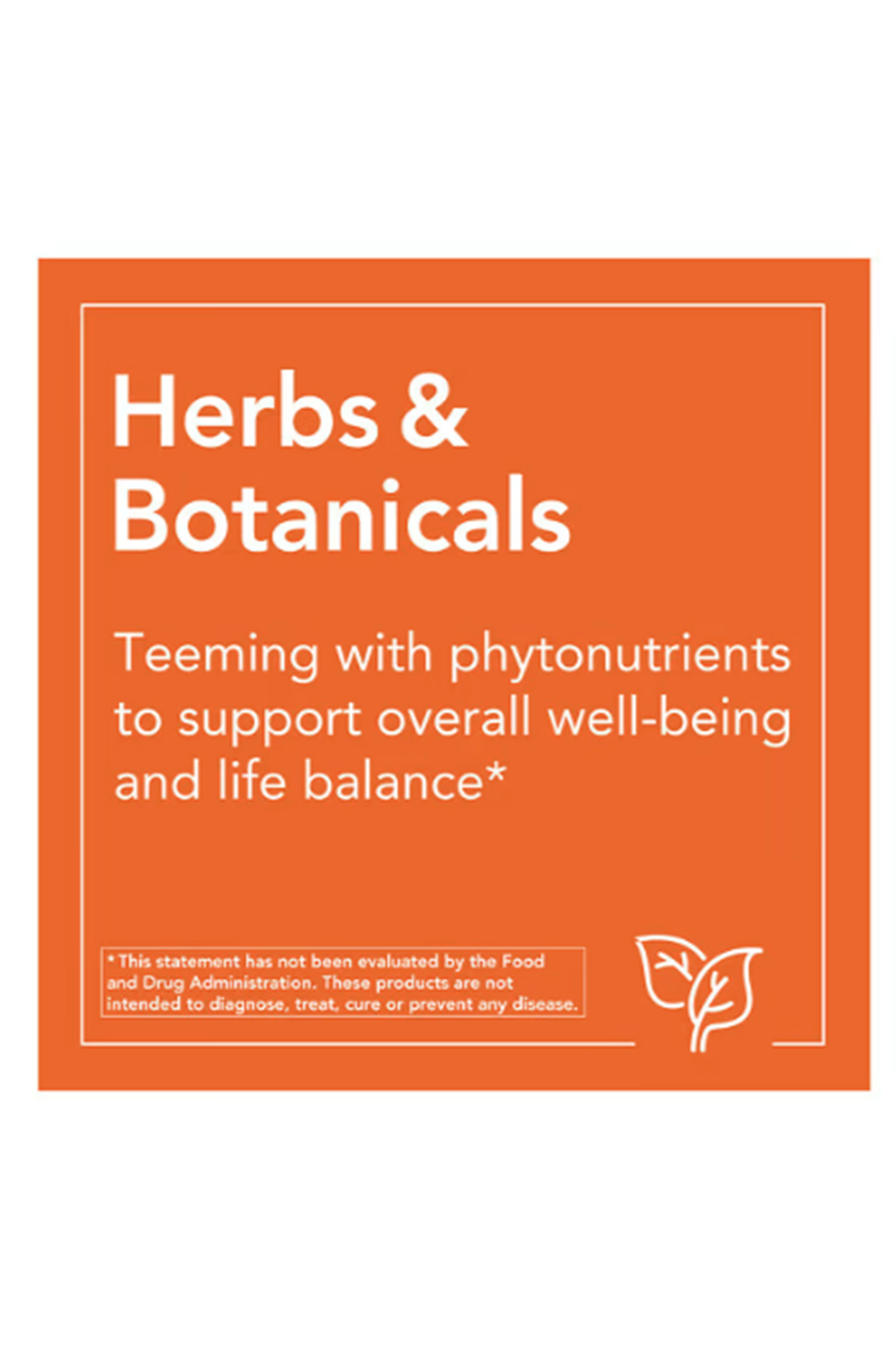 NOW Foods  Alfalfa Mikro Besin Desteği 650 mg, 250 Tablet.Made ın Usa.