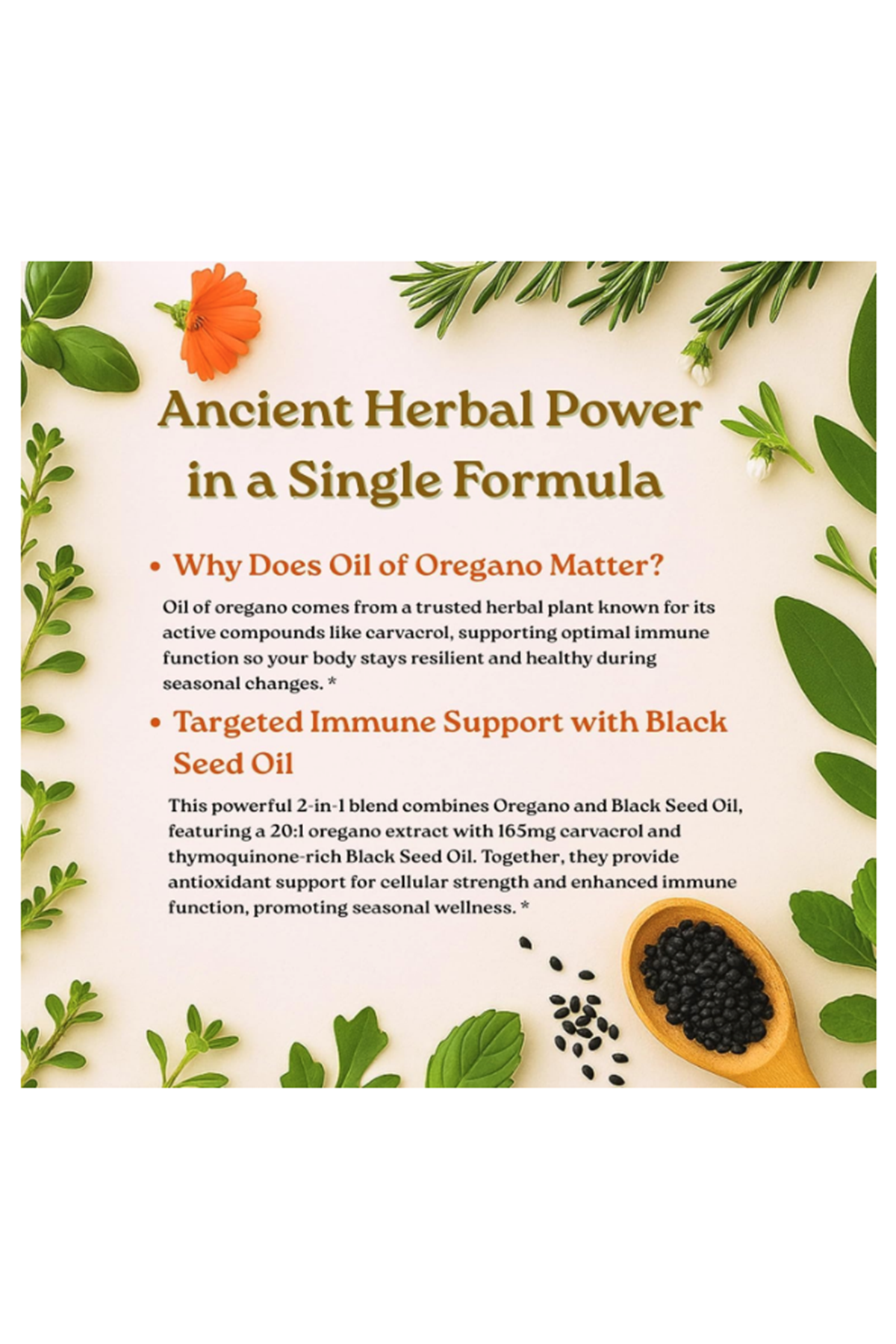 Micro Ingredients Oil of Oregano 300 Softgels Black Seed Oil 4X Strength Carvacrol  Thymoquinone  Plant Based Non-GMO.