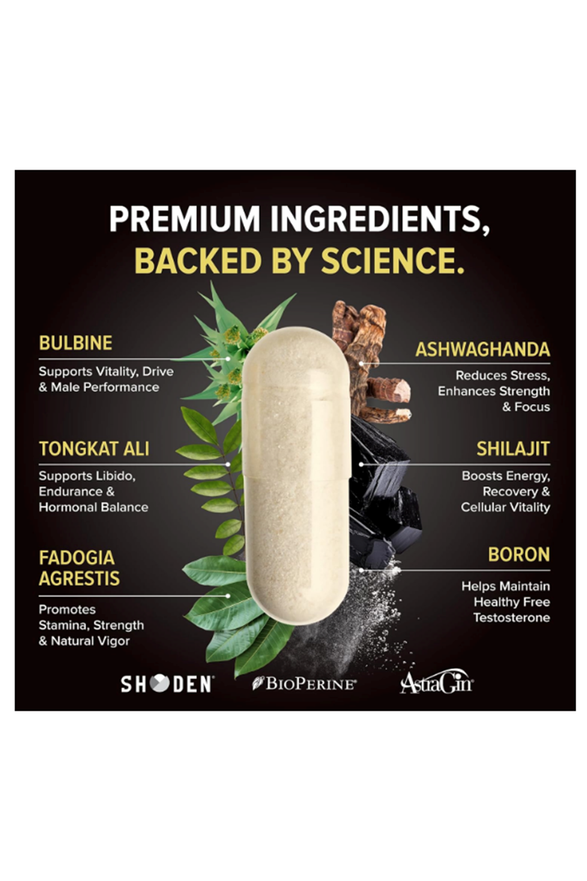 Nutrex Research Alpha-T Magnum Test 120 Capsul  Tonkat Ali, Fadogia Agrestis, Shilajit and Asvaganda  Muscle Builder for Strength, Growth  Hormone Balance.Made In Usa.