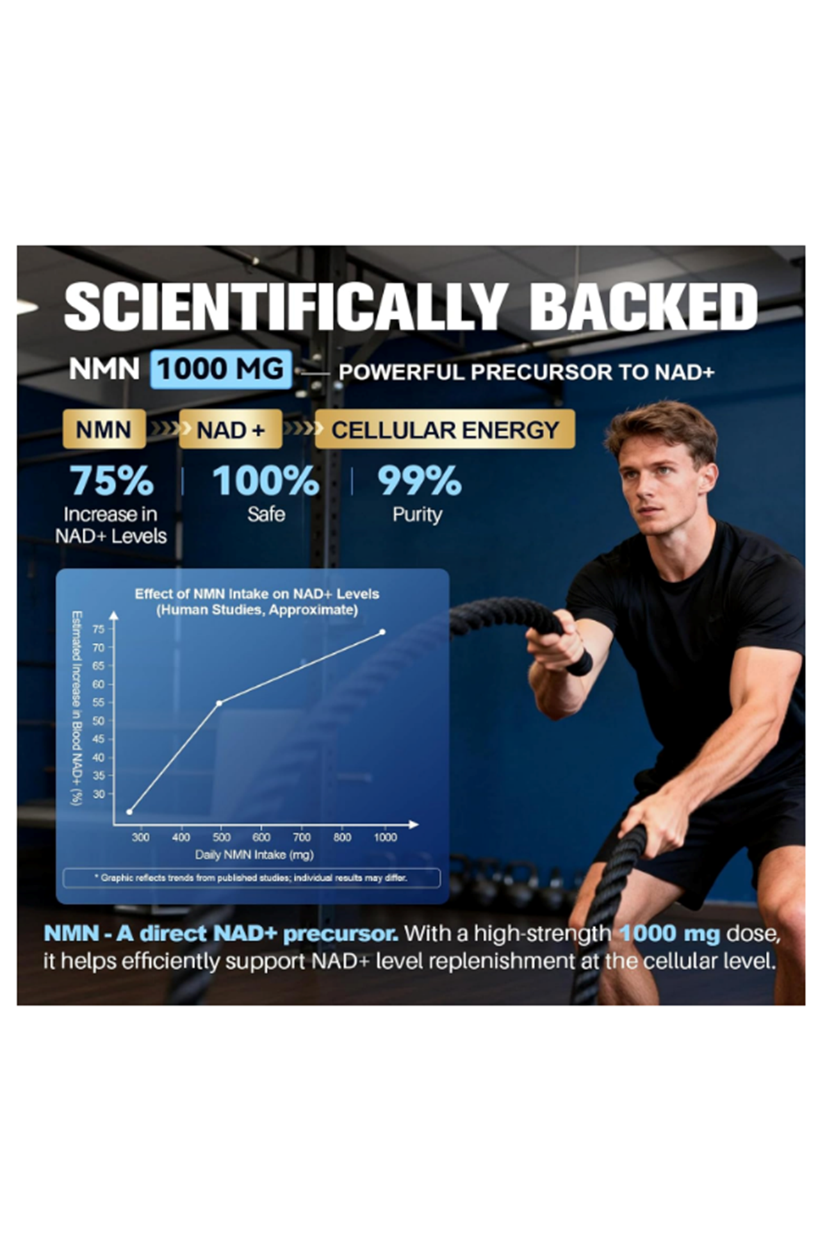 Totaria Liposomal NMN 1000mg, 60 Capsul,14-in-1 Resveratrol Complex with CoQ10, TMG, Quercetin, ALA, PQQ, NAD Levels, Cellular Energy  Healthy Aging.