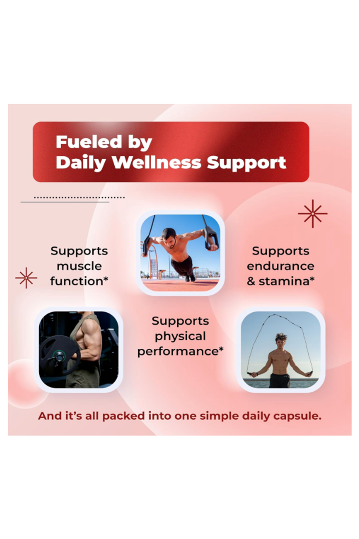 SOTALIX Turkesterone Ajuga Turkestanica 150 Capsul Standardized High Potency with Maca Root Tribulus Terrestris - Muscle Growth Energy Memory Support.