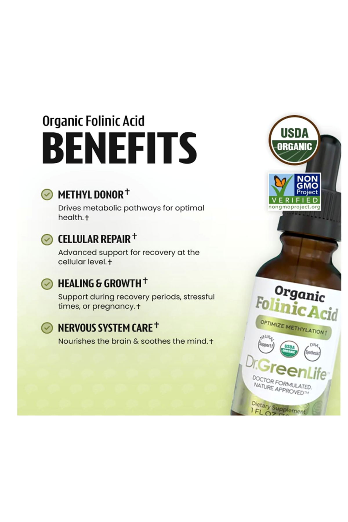 Dr. Green Mom USDA Organic Folinic Acid Drops - 500 mcg per Drop  30 ML Methylation Support B9 Supplements for Kids  Adults  Neurological Function.