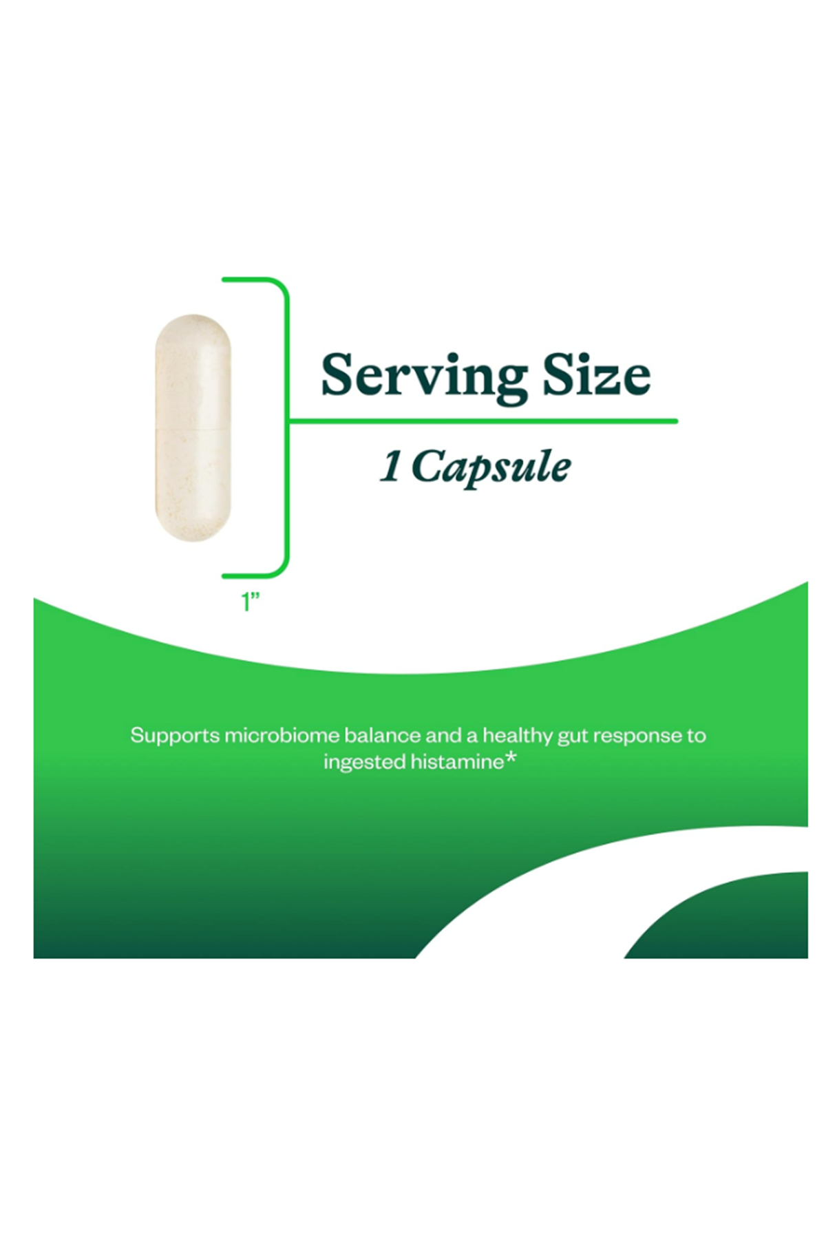 Seeking Health ProBiota HistaminX  Digestion for Gut Health Histamine Lactobacillus Plantarum Lactobacillus Salivarius Immune Skin Health  60 Capsul.