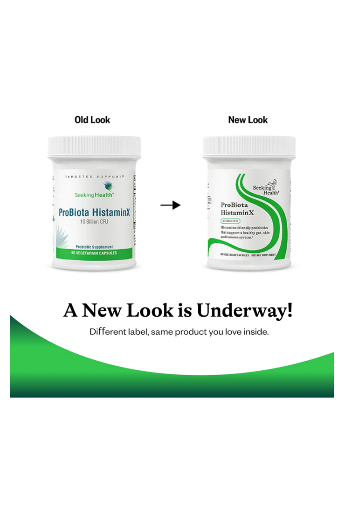 Seeking Health ProBiota HistaminX  Digestion for Gut Health Histamine Lactobacillus Plantarum Lactobacillus Salivarius Immune Skin Health  60 Capsul.