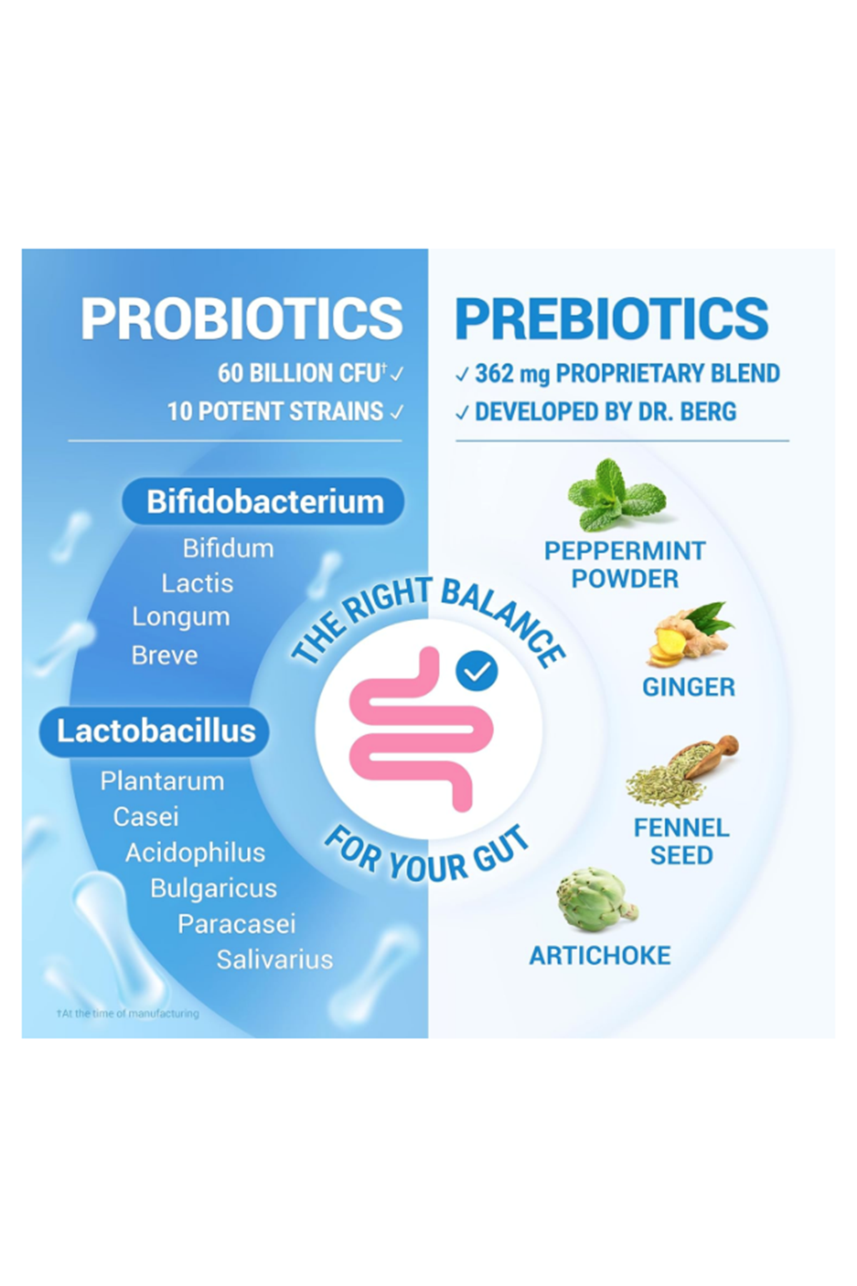 Dr. Berg Probiotic (60 Billion CFUs) 60 Probiotic Capsul Ease Occasional Constipation, Diarrhea, Gas  Bloating - Probiotics for Digestive Health.