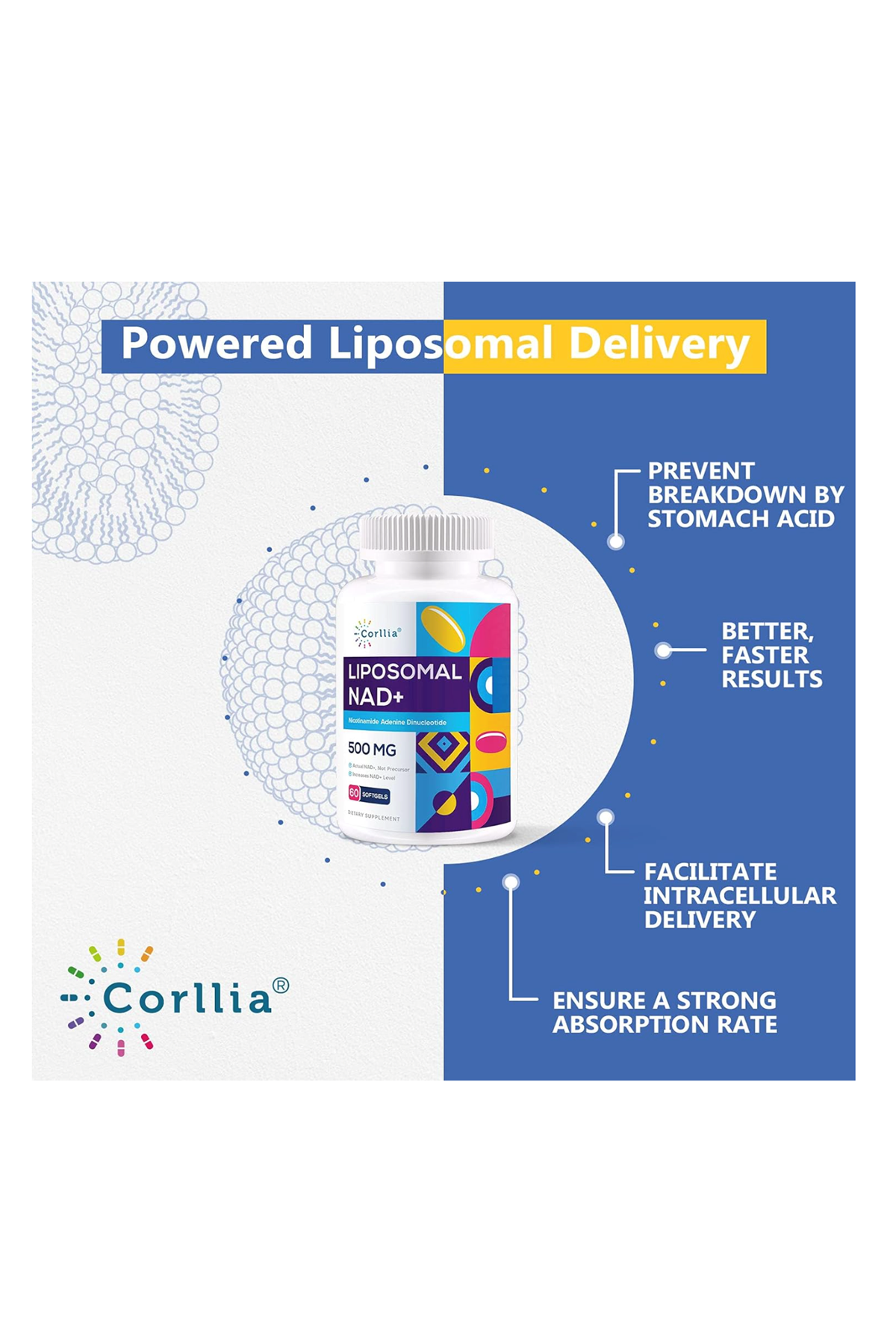Corllia Liposomal NAD+ (( SKT:07.2026 )) 500mg with TMG 250mg 60 Softgels.Usa.48.