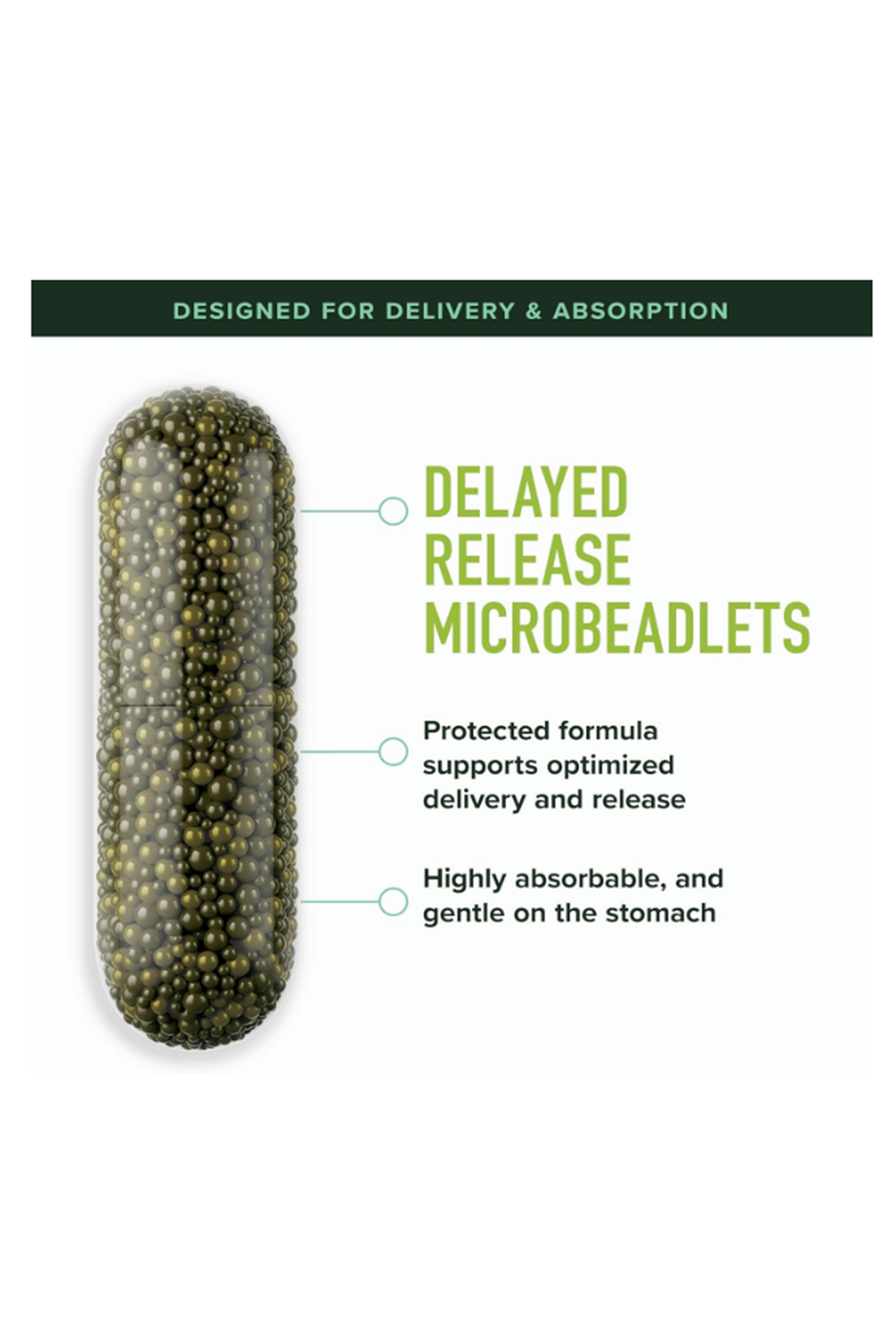 SMNutrition Sulforaphane 60 Capsul Broccoli Sprouts NRF2 Activation Immune Glucoraphanin  Myrosinase.USA.