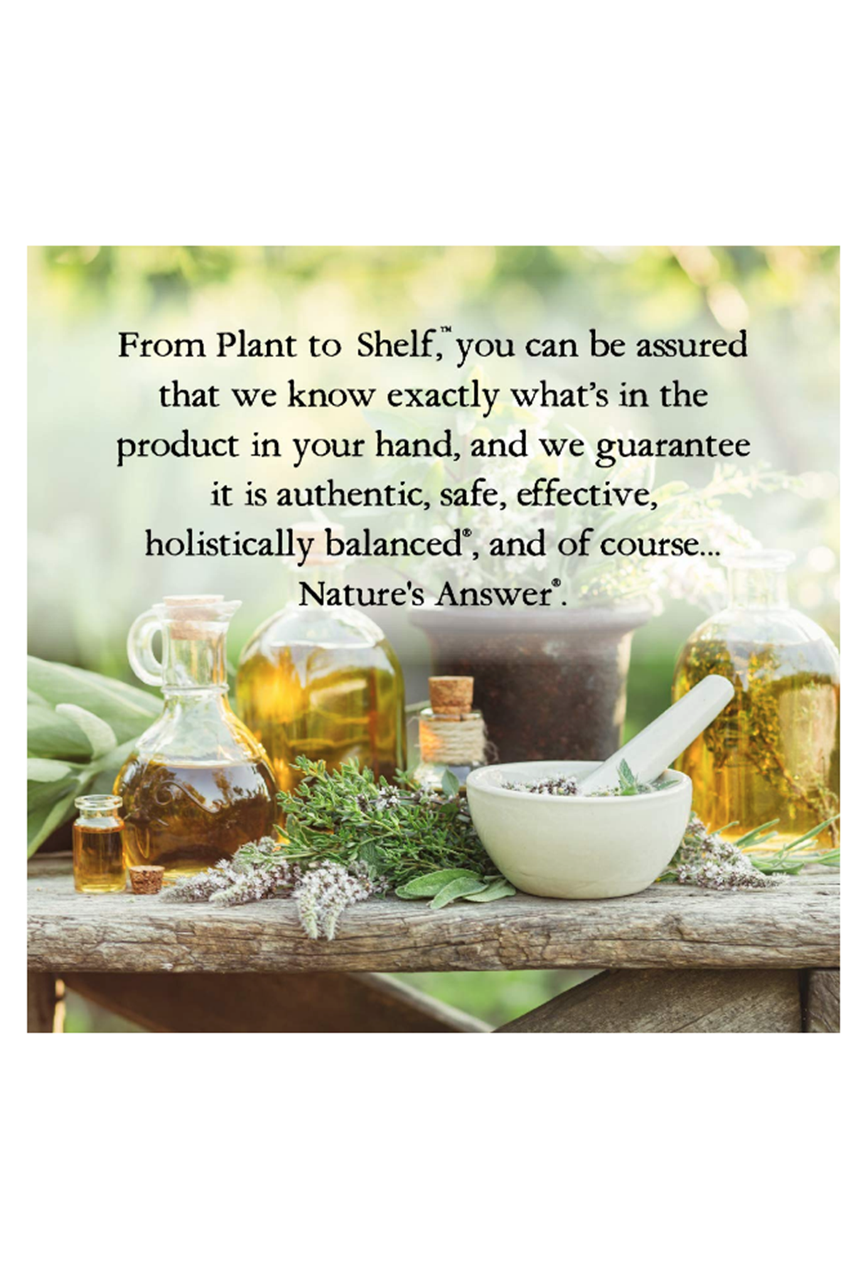 Nature's Answer Black Walnut  Wormwood Fluid Extract Alcohol-Free, 1 fl oz (30 ml).