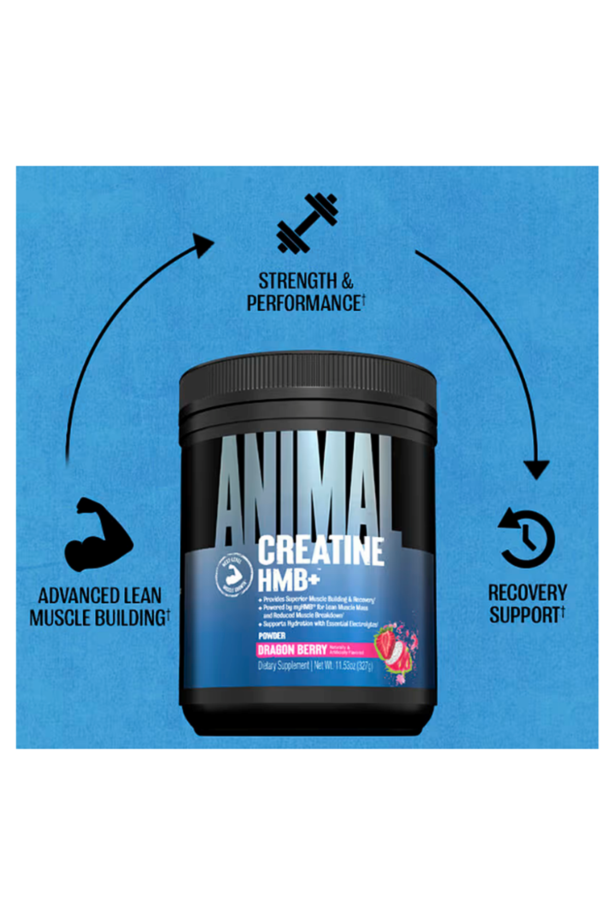 Animal Creatine HMB+™ Powder 327 gr.Avrupa İçerik Değildir..Amerikan İçeriktir!!..