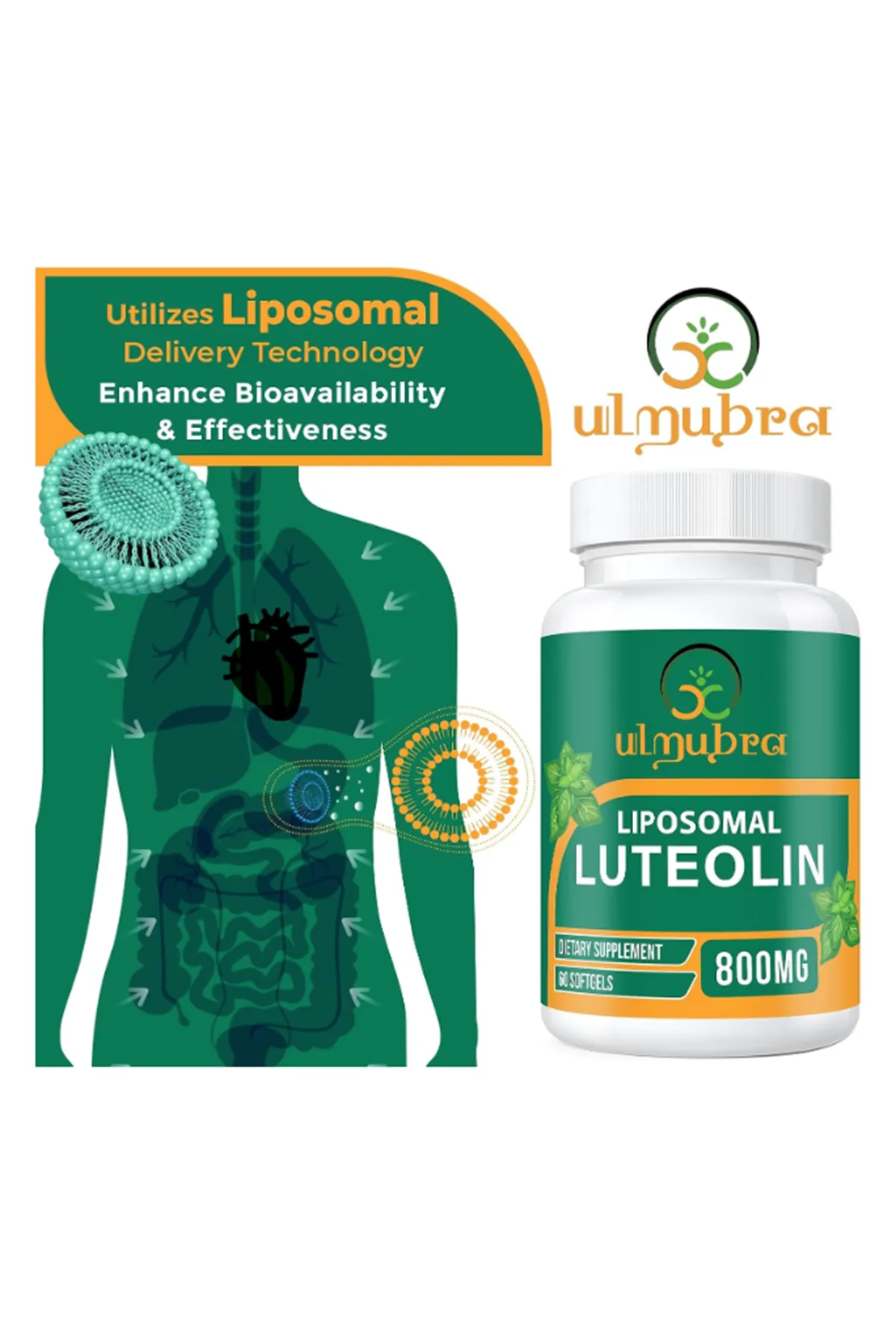 Ulmubra Liposomal Luteolin 800 MG 60 Softgels.(Ösg Özel Sporcu Gıdaları).