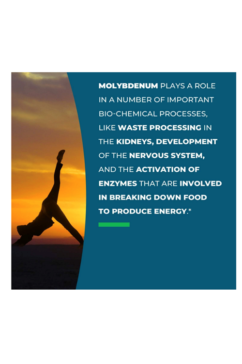 Seeking Health Molybdenum 500mg Molybdenum Glycinate Chelate Healthy Detoxification,Metabolism and Iron Utilization, (90 veg capsules) Usa Amazon Best Seller.45.