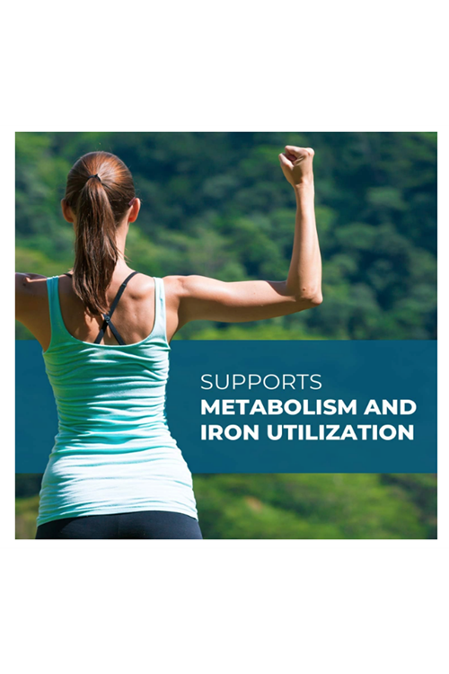 Seeking Health Molybdenum 500mg Molybdenum Glycinate Chelate Healthy Detoxification,Metabolism and Iron Utilization, (90 veg capsules) Usa Amazon Best Seller.45.