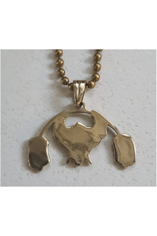 Bodybuıldıng Kolye ucu 925 Ayar Gümüş, Pirinç Kaplama Zincir Hediye.(KARGO ÜCRETİ ALICIYA AİTTİR)