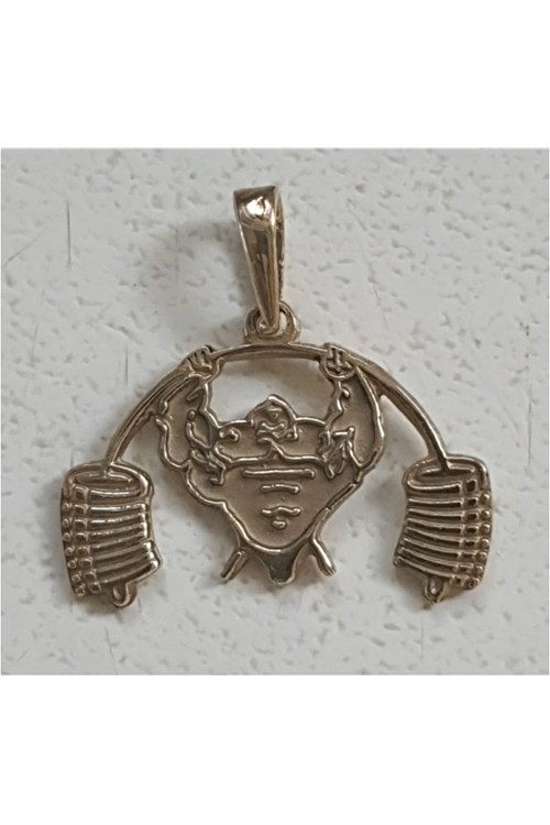 Bodybuıldıng Kolye ucu 925 Ayar Gümüş, Pirinç Kaplama Zincir Hediye.(KARGO ÜCRETİ ALICIYA AİTTİR)