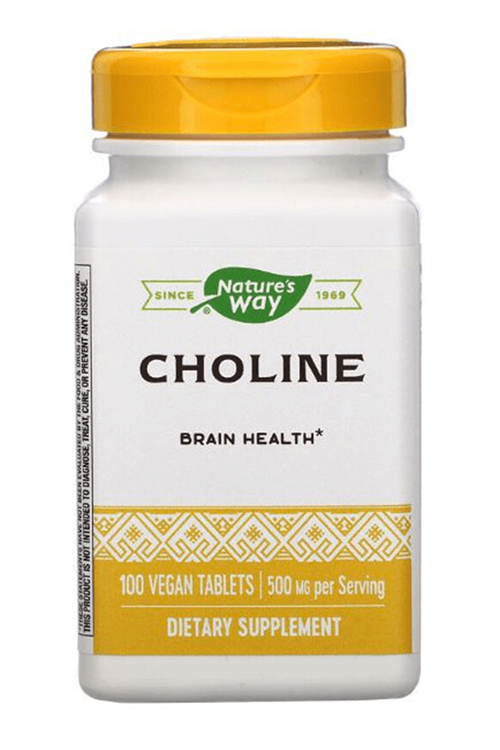 Nature's Way Choline 500mg (Kolin Nörotransmitter Brain Health) 100 Tablet. Usa Version 4237