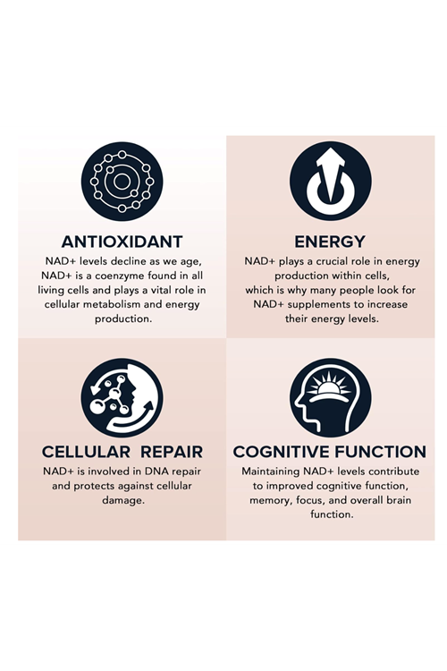 Fabamax 1600 mg Liposomal NAD  60 Softgels. Usa Menşei.49.